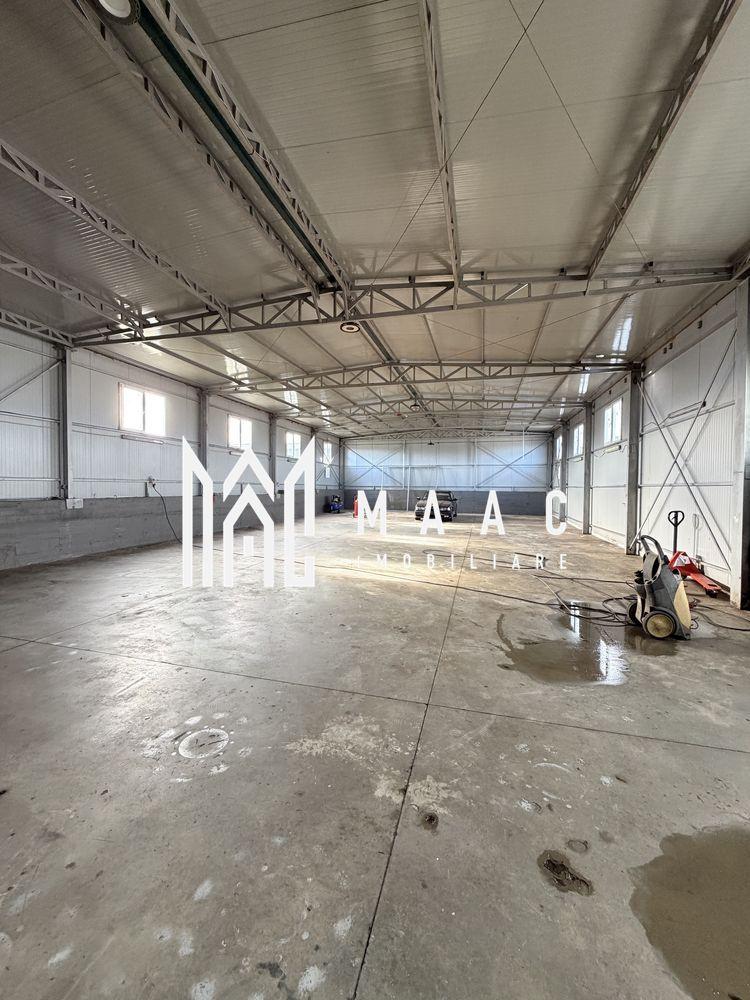 Hala Industrială | 300 MP | Calea Șurii Mici - 2