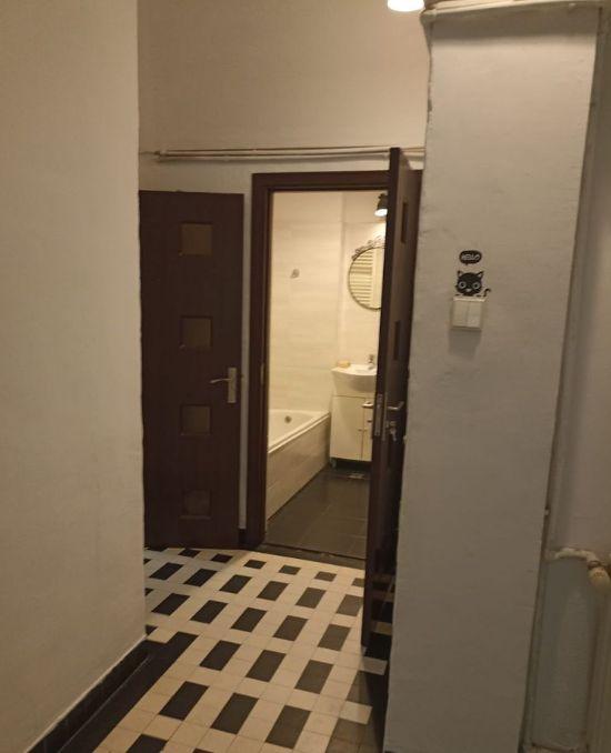 3 camere in vila | Cismigiu | terasa 10 mp + 2 boxe - 11