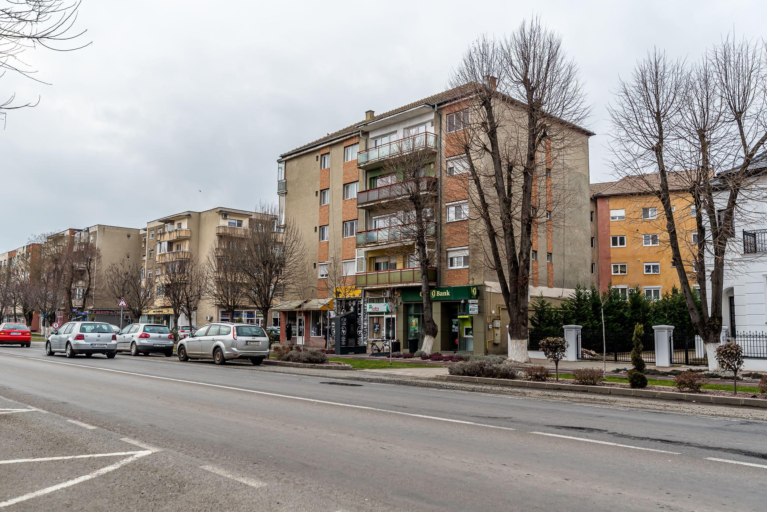 Apartament spatios in centrul orasului Chisineu Cris - 2