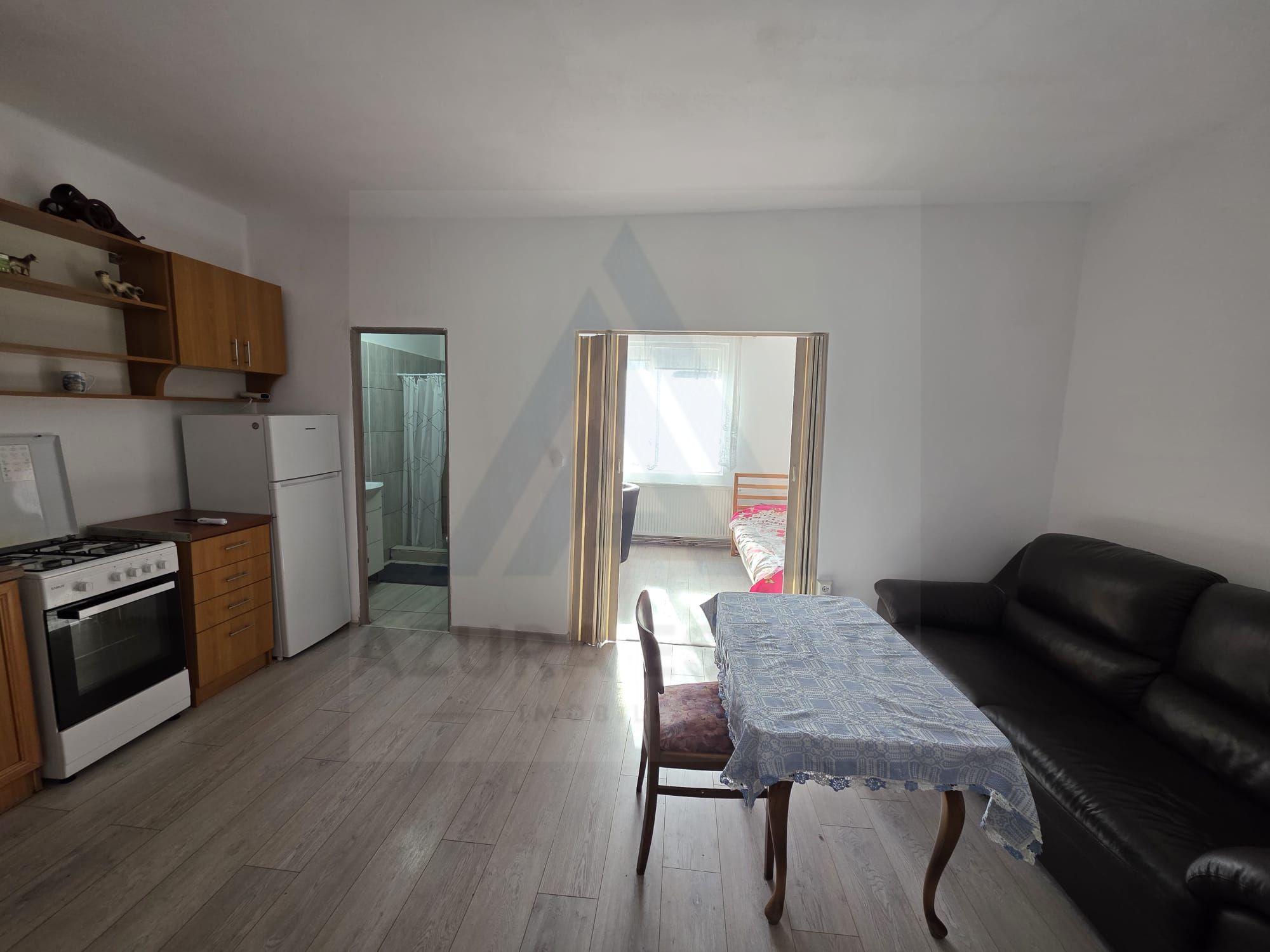 Studio la curte utilat complet cu terasa zona Lazaret - 1