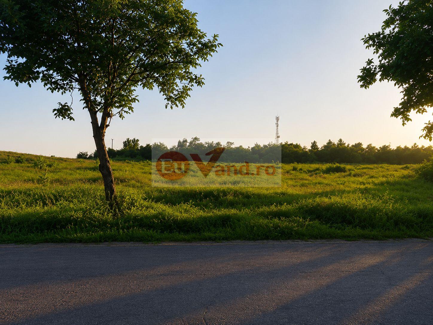 Vânzare teren intravilan – 9.500 mp, DN26 - Tulucesti - 1