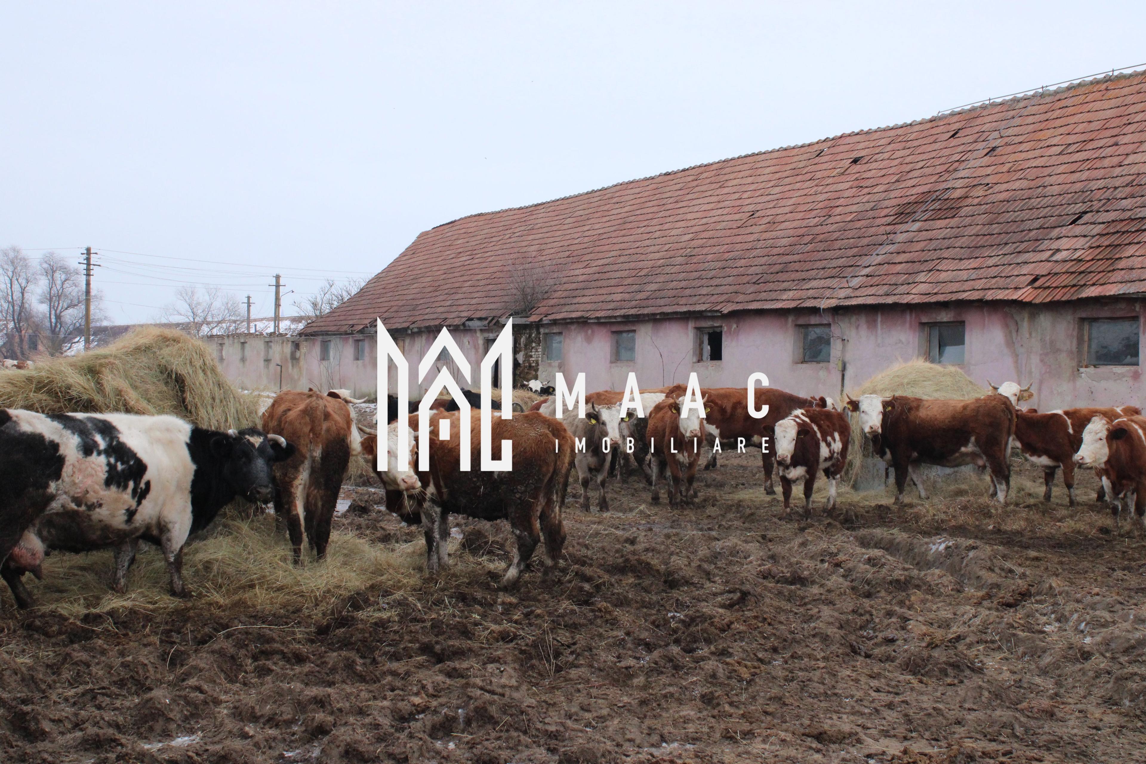 Fermă agricolă funcțională | Vurpar | 1.200 mp construiți | Utilaje disponibile - 2