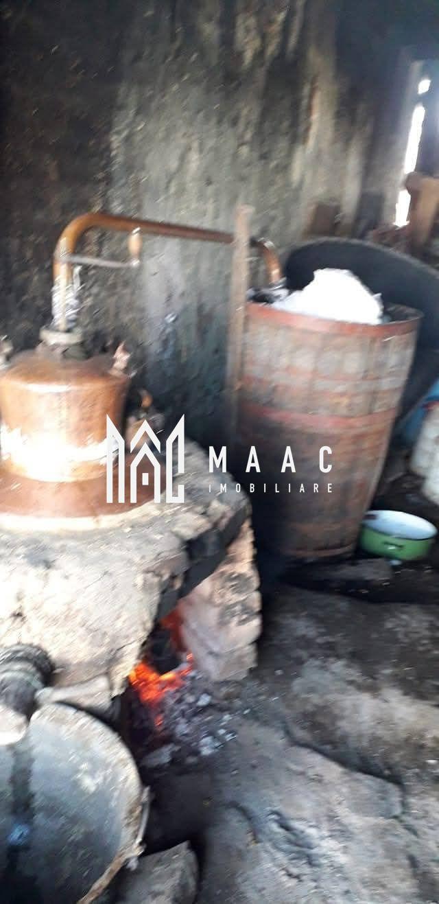 Casa I 60000 mp pamant I Cugir I Alba - 3