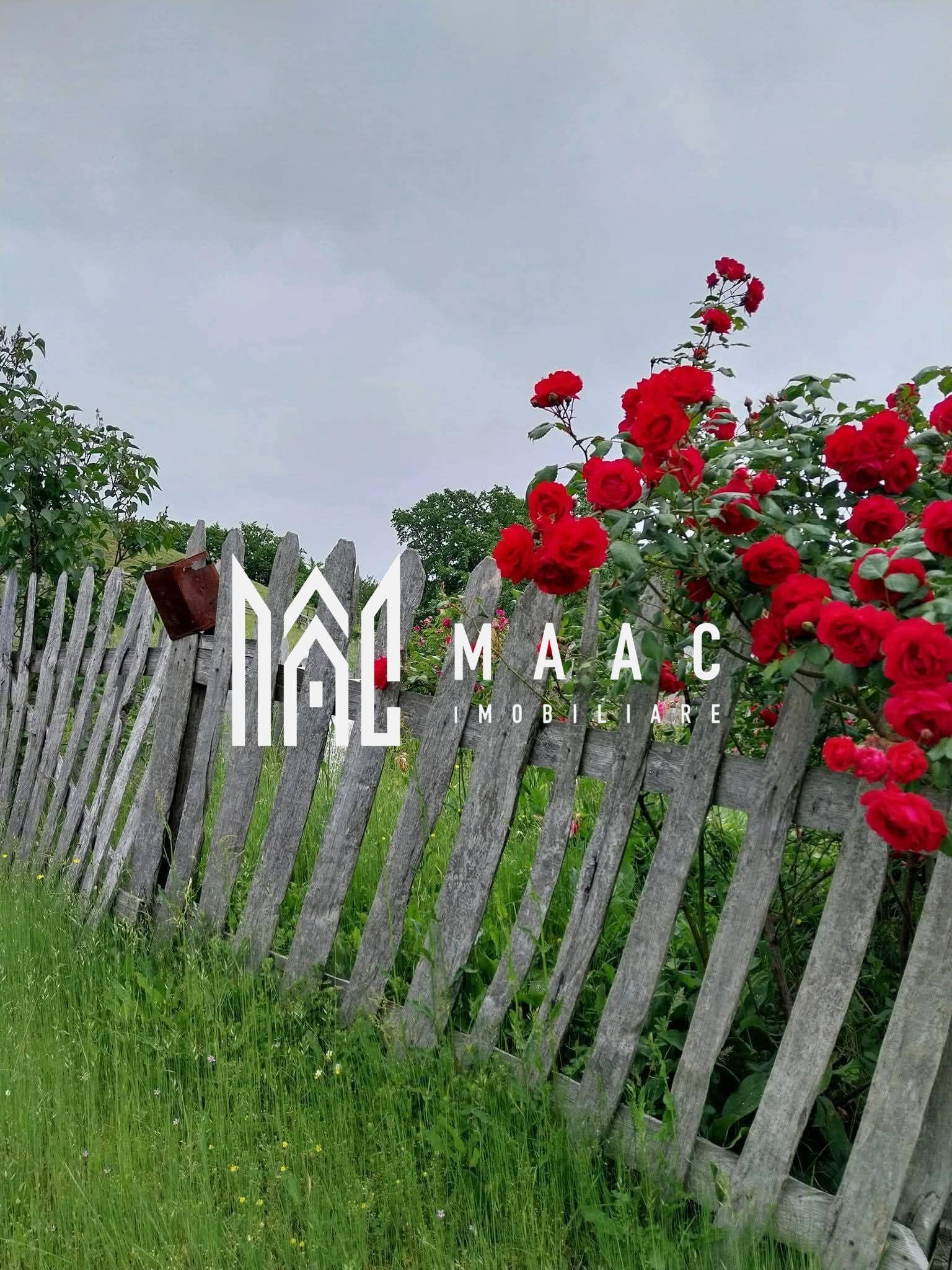 Casa I 60000 mp pamant I Cugir I Alba - 17