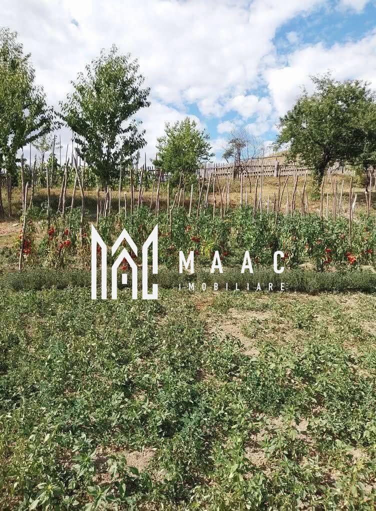 Casa I 60000 mp pamant I Cugir I Alba - 26