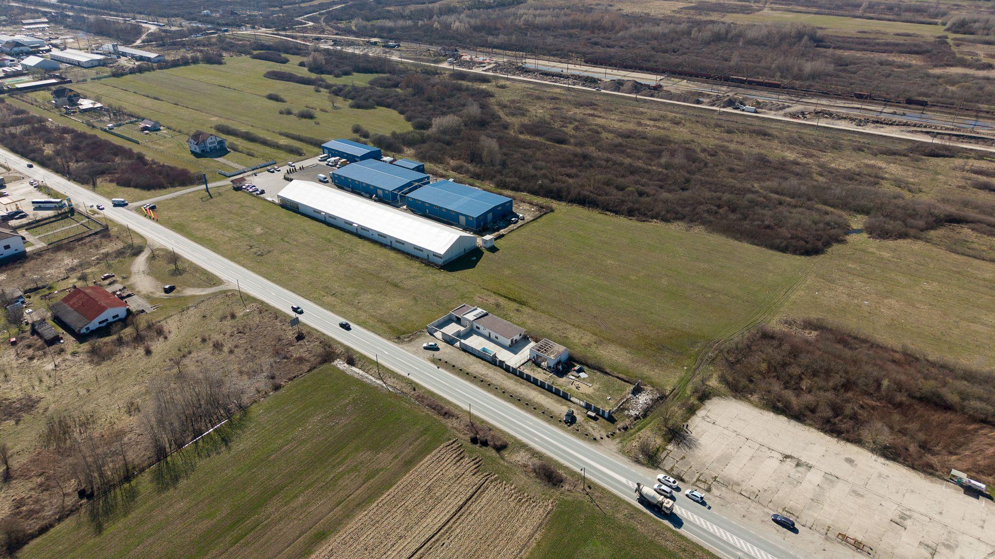 Teren extravilan de 7.000 mp lângă Păltiniș - 6