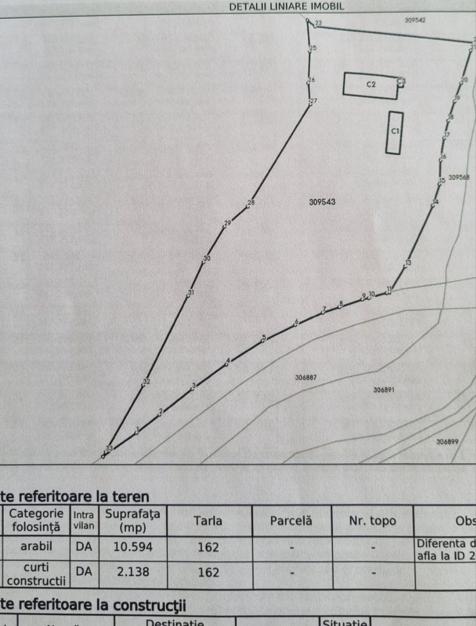 1,2 ha teren comercial/industrial cu hale in Baratca Paulis Arad - 6
