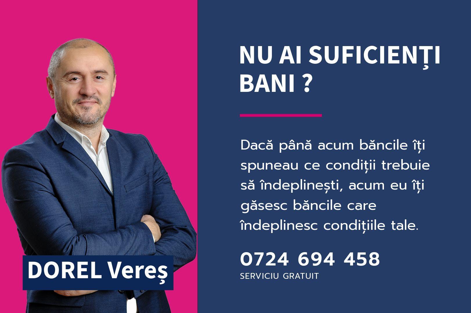 1,2 ha teren comercial/industrial cu hale in Baratca Paulis Arad - 7