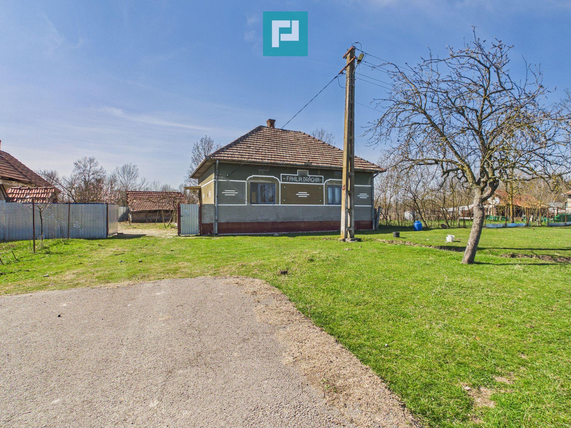 Casă cu teren de 6000 mp în Duboz, Timiș - 10