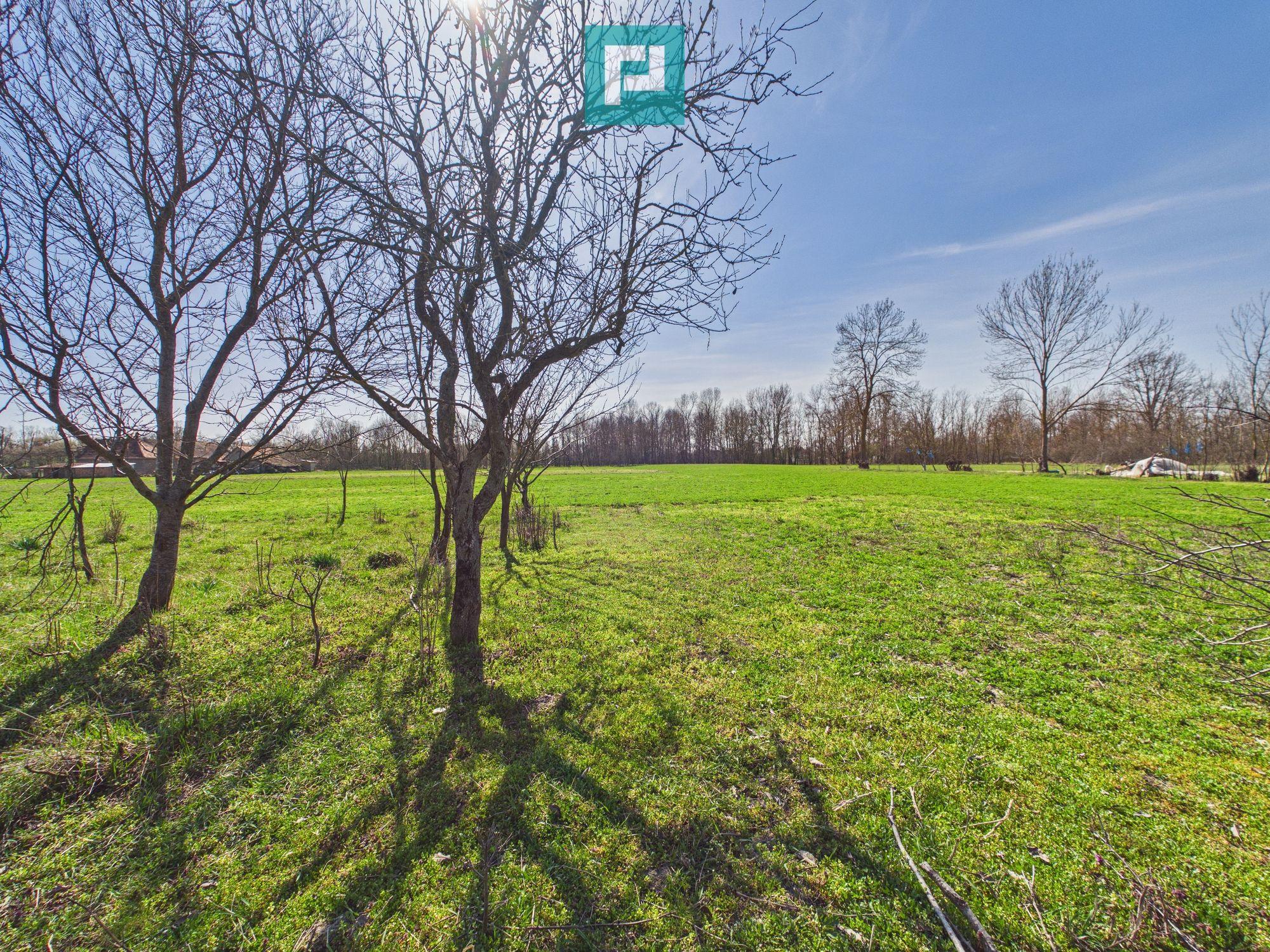 Casă cu teren de 6000 mp în Duboz, Timiș - 2