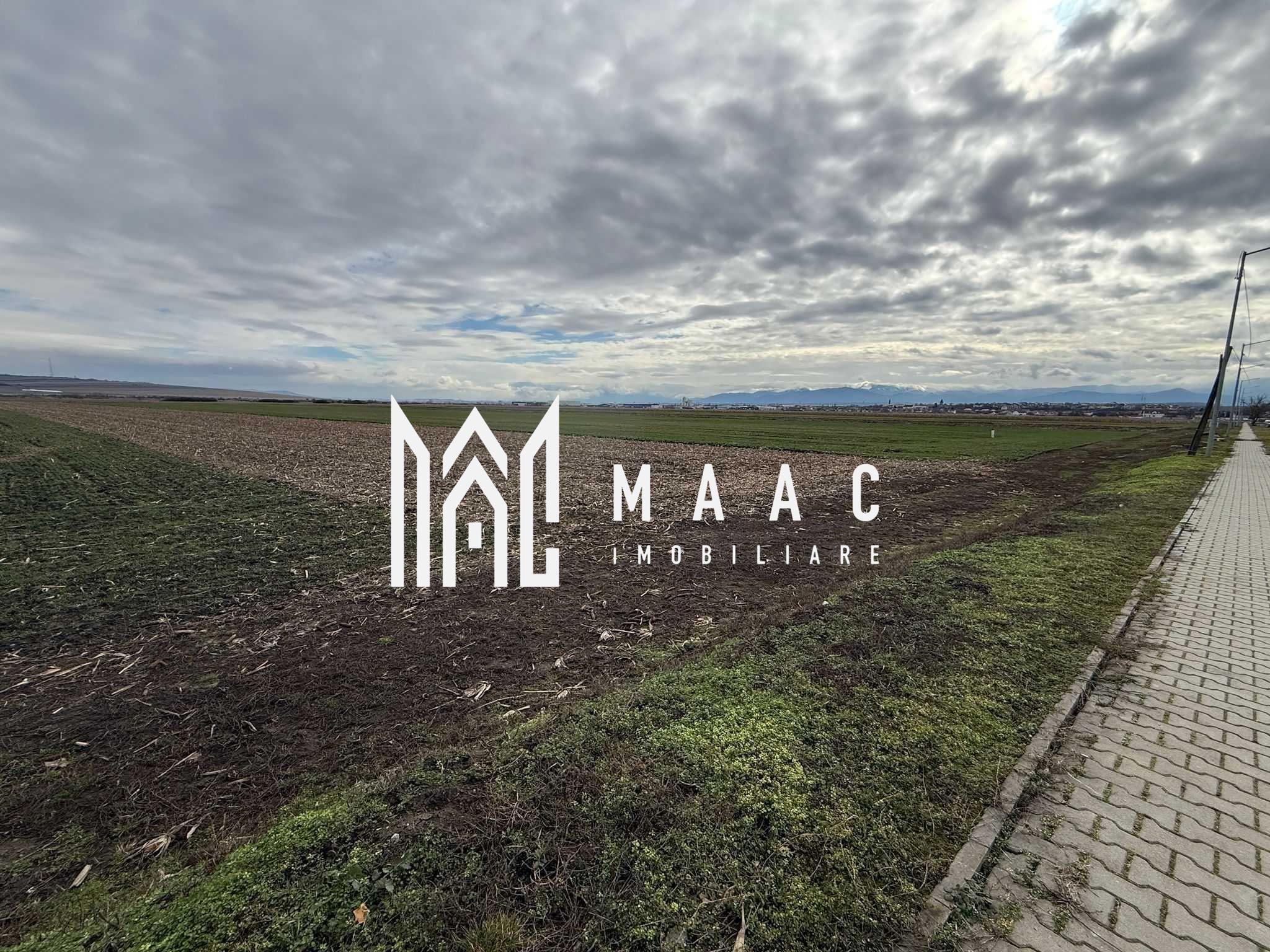 Teren intravilan | 9600 mp | Șură Mică | Utilități | Drum Asfaltat - 1