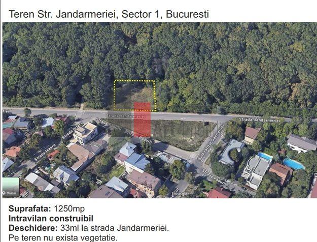 Teren padure Baneasa Jandarmeriei - 2