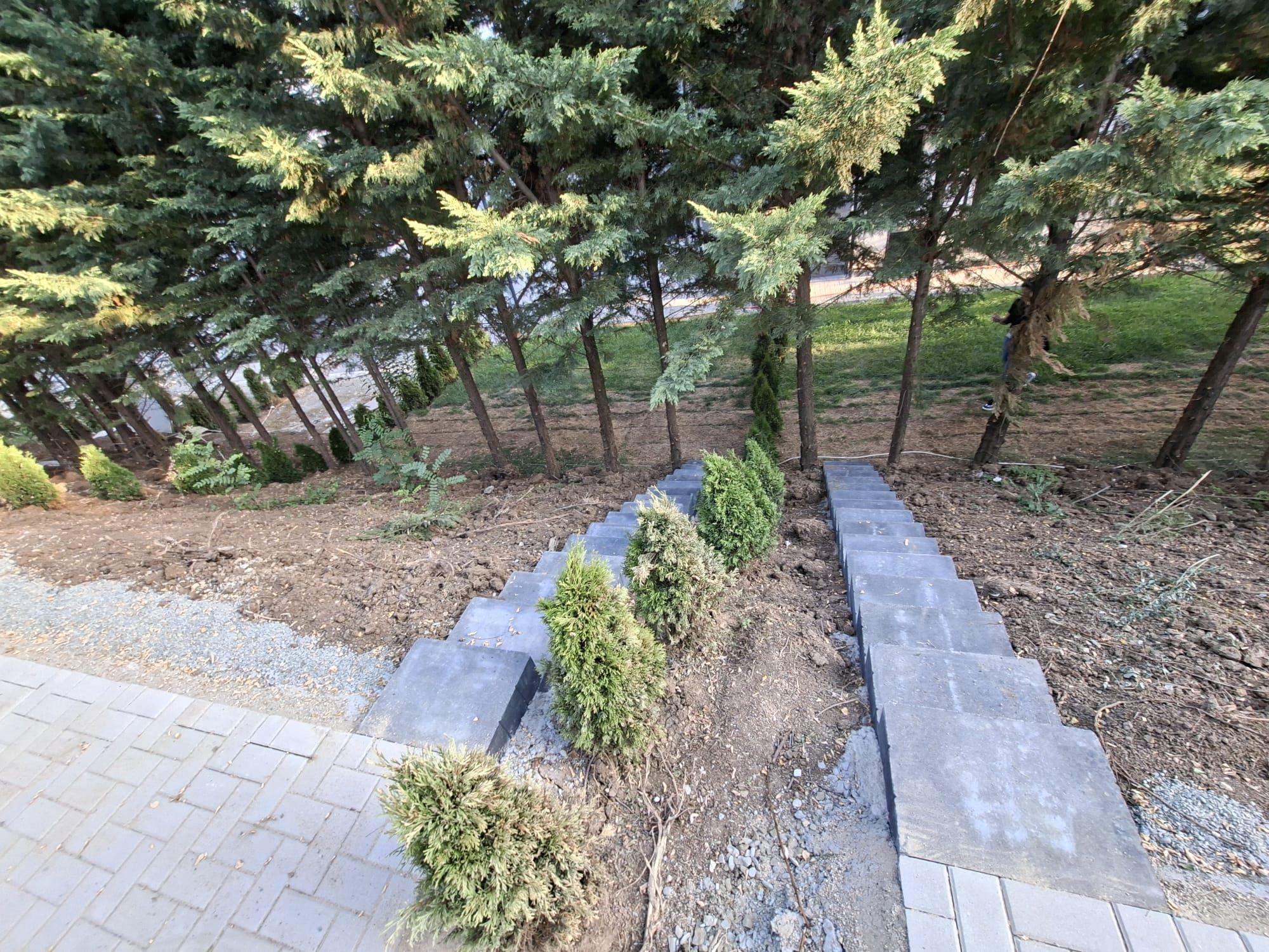 Apartament premium 49.7 mp utili 2 camere si curte 50 mp in Da Vinci - 12