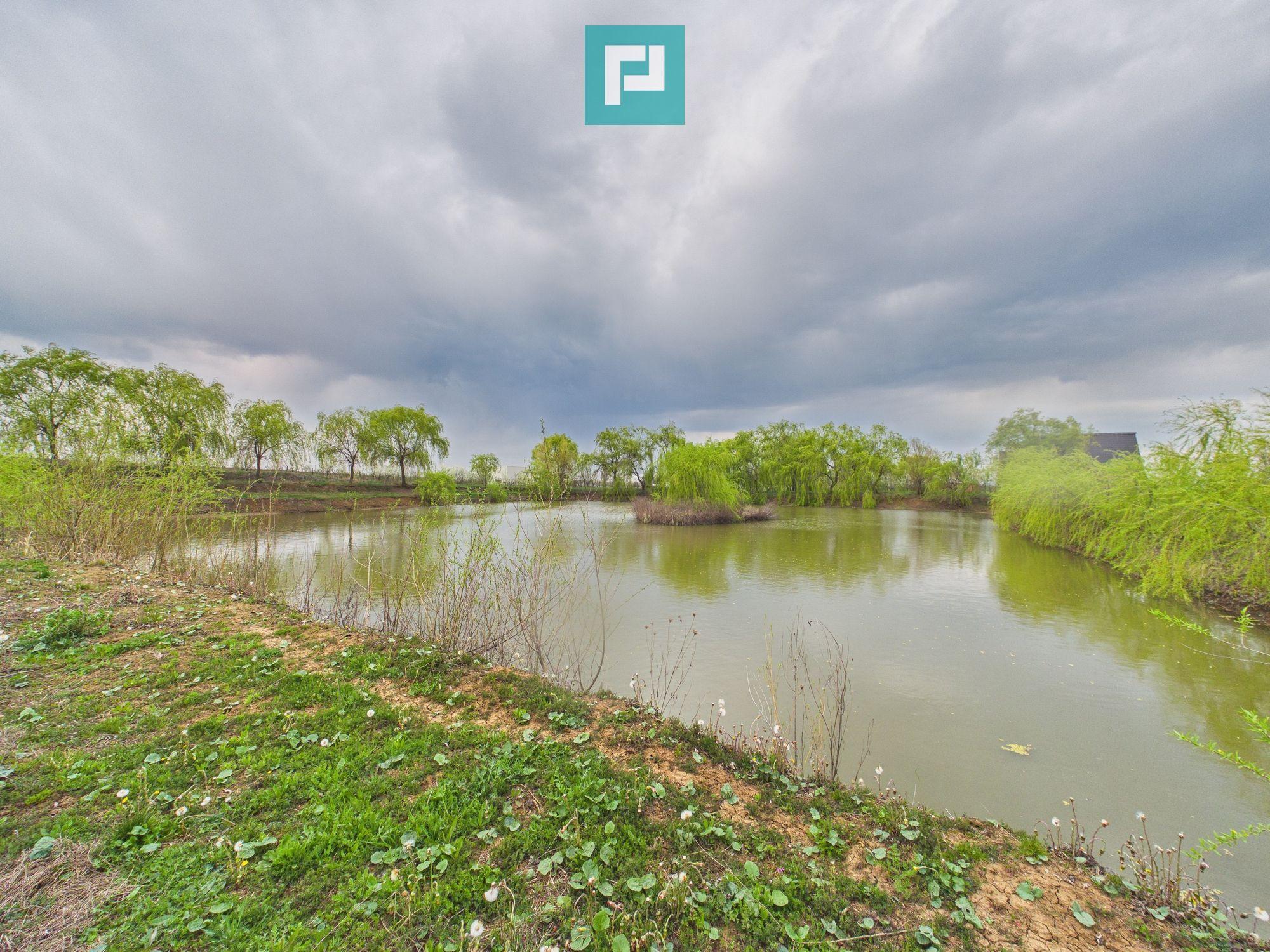 Teren 1 ha cu baltă populată – Alioș (Mașloc) - 2