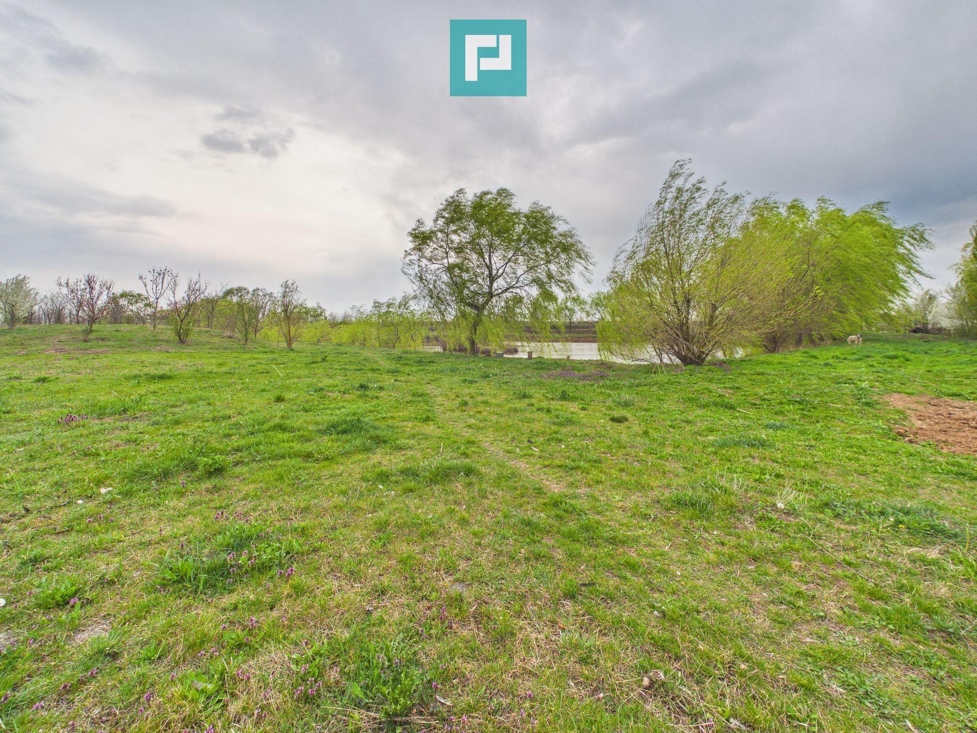 Teren 1 ha cu baltă populată – Alioș (Mașloc) - 4