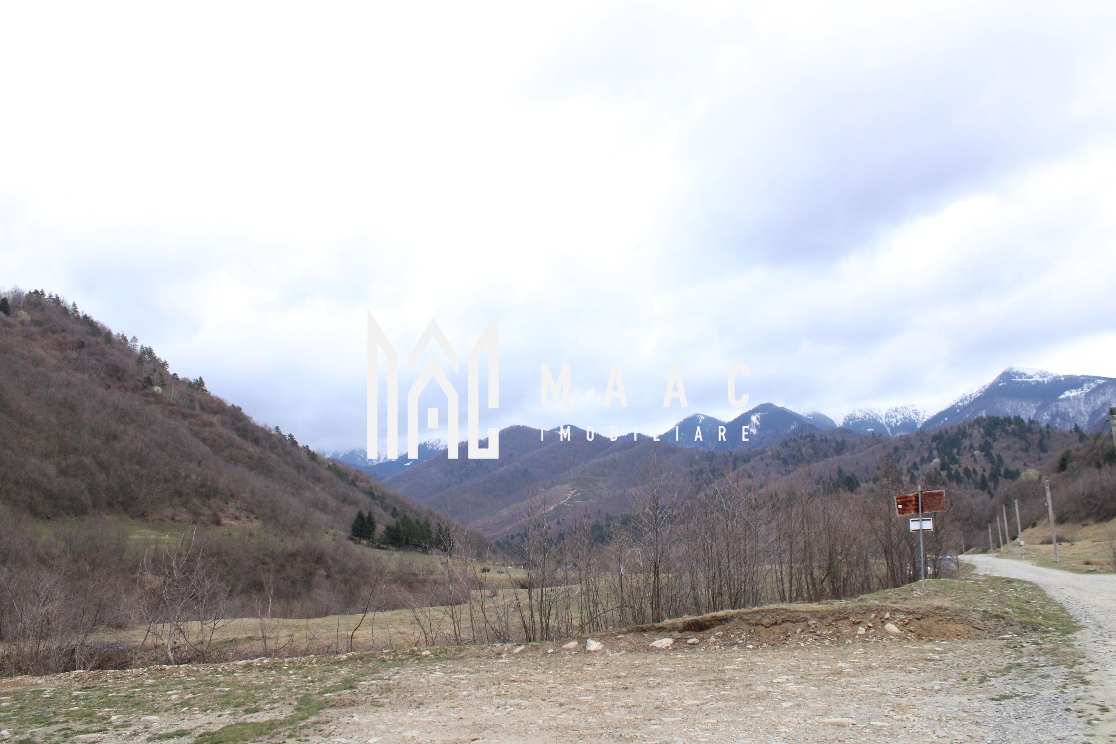 Un colt de rai la pretul unei garsoniere - 2