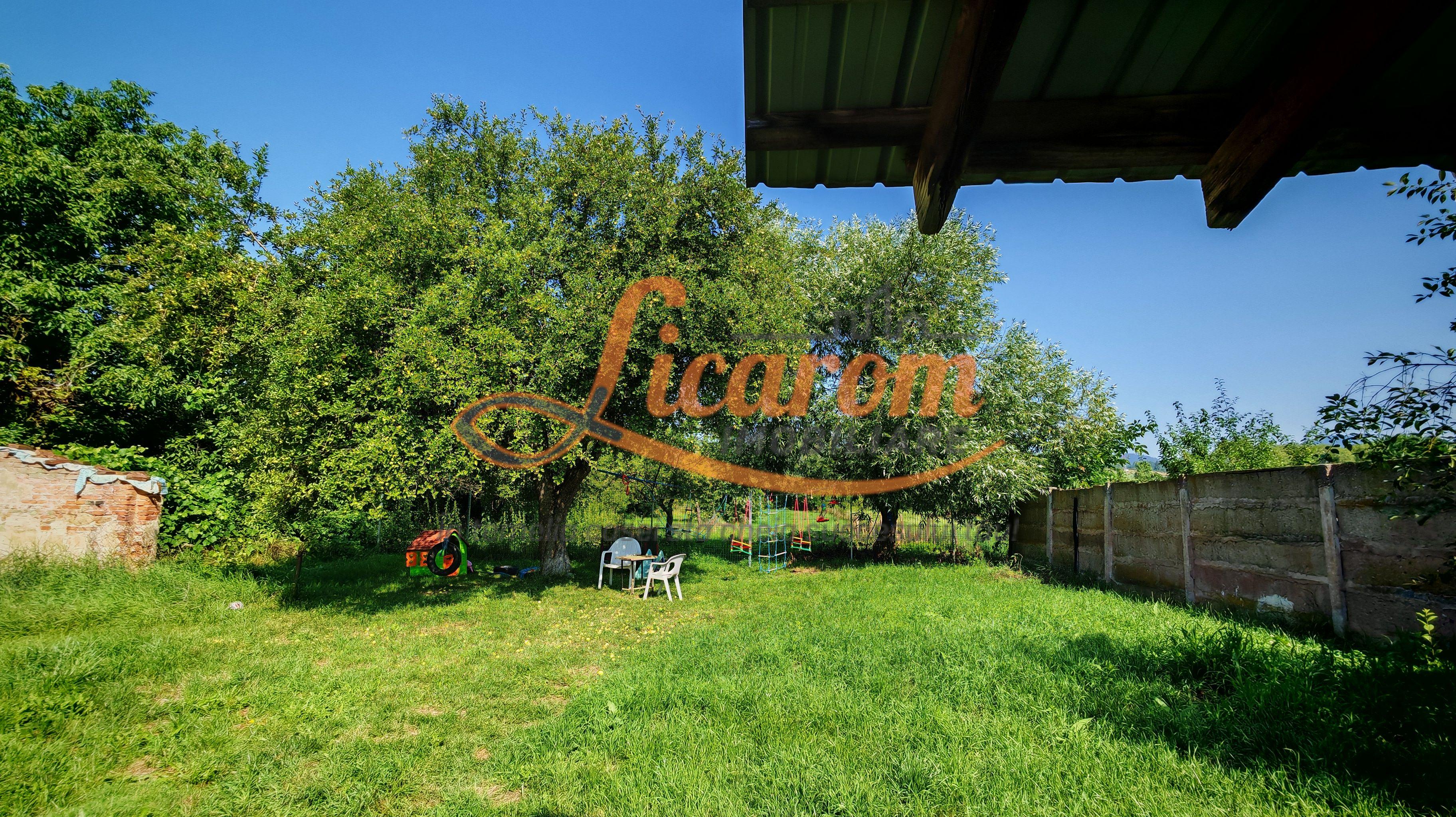 CASA SASEASCA comuna VULCAN,zona foarte buna,teren 3000 mp - 31