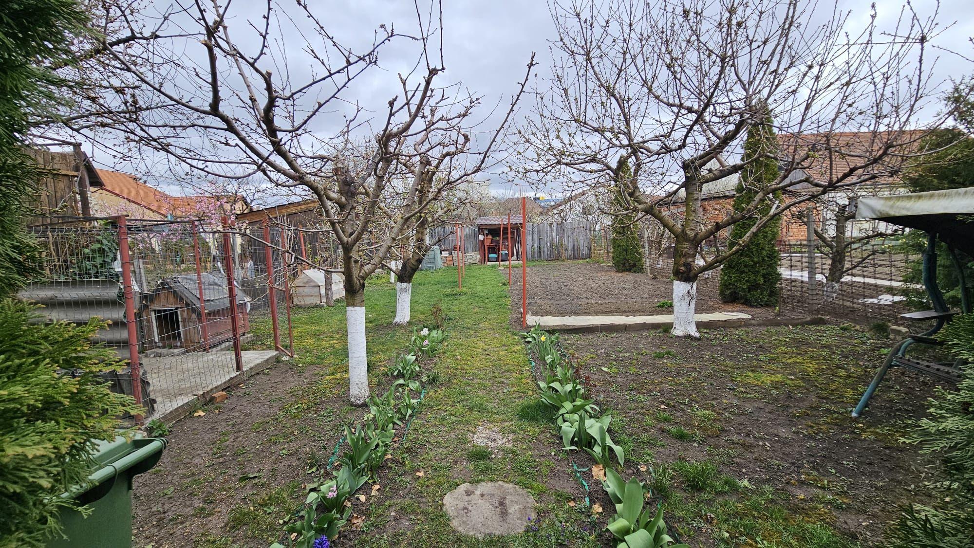 Casa 5 camere 3 bai garaj inchis si teren 700 mp utili in Lazaret - 21