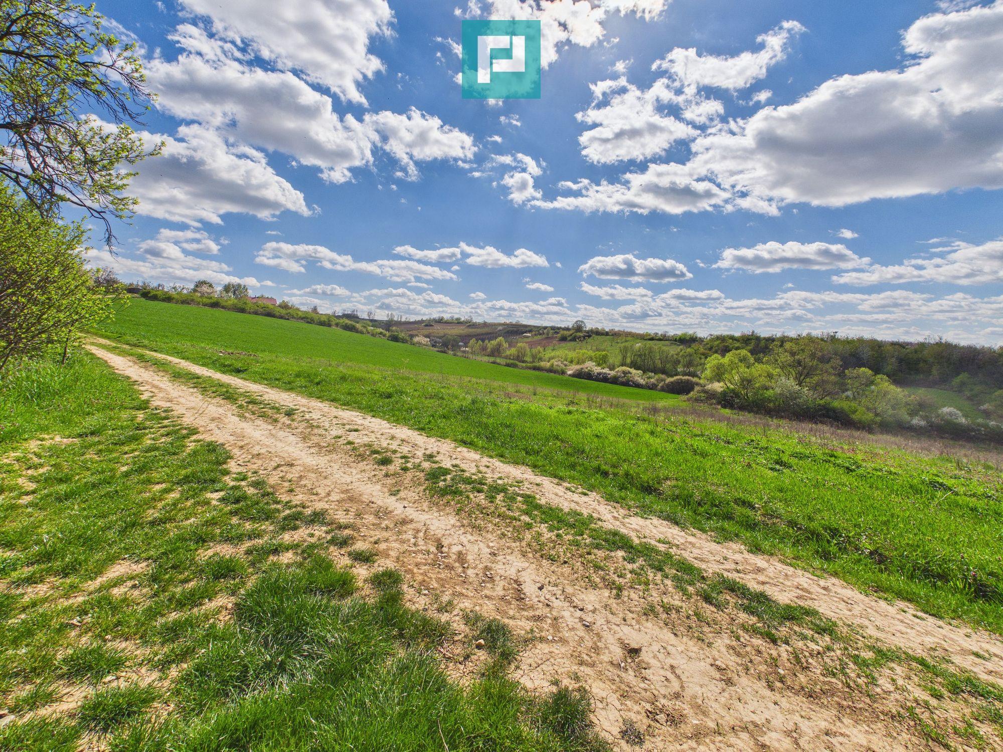 Casă cu teren 1.151mp la 25 km de Oradea, Sisterea - 9