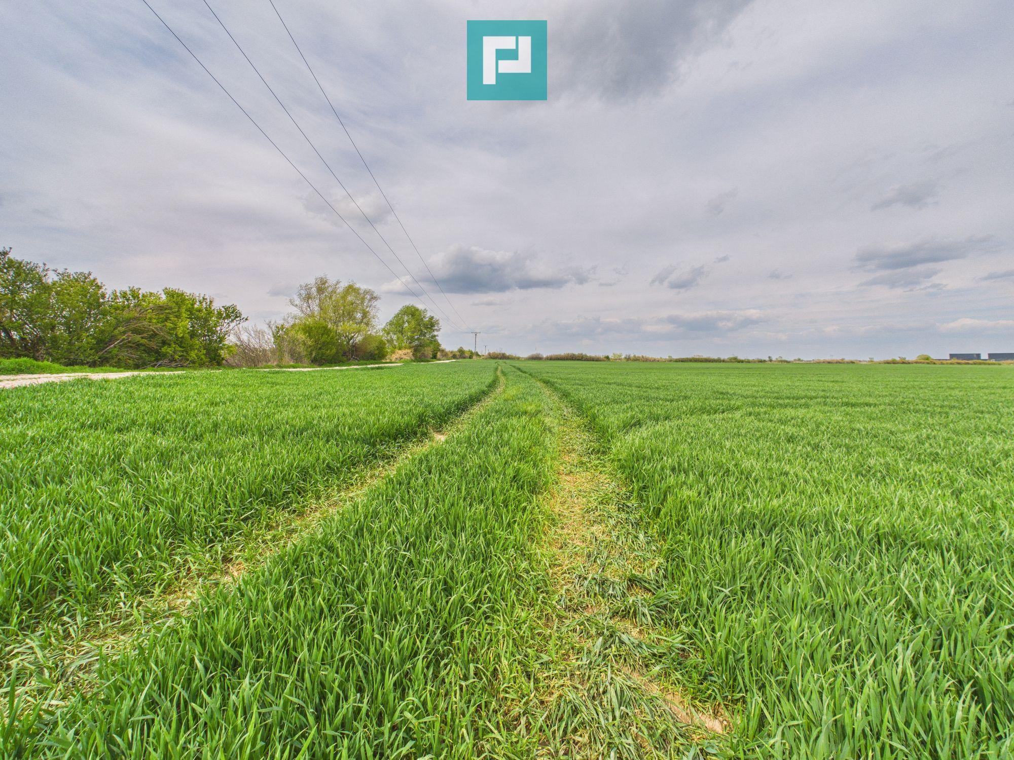 Teren extravilan 19.900 mp – Giroc centură - 3