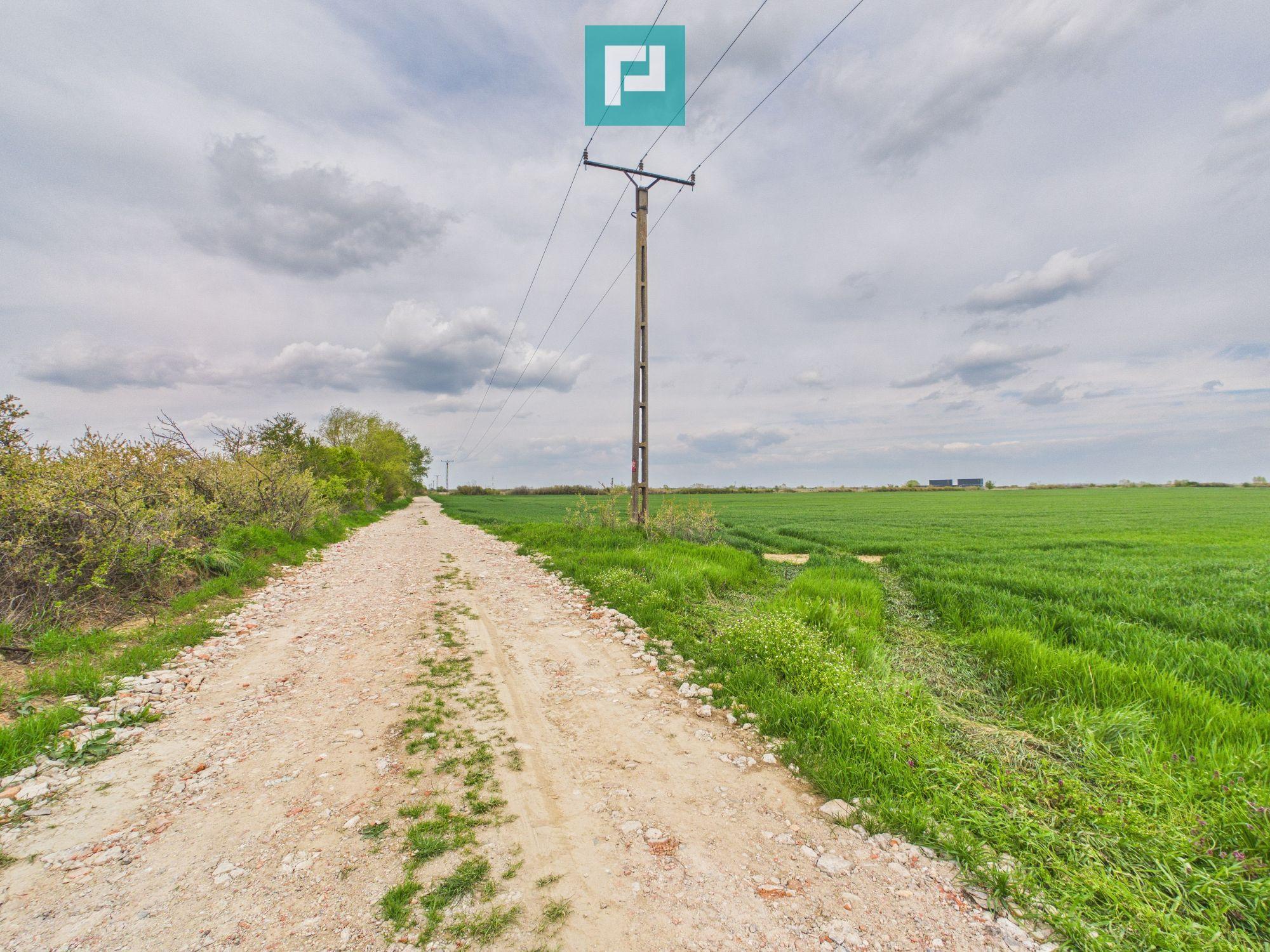 Teren extravilan 19.900 mp – Giroc centură - 5