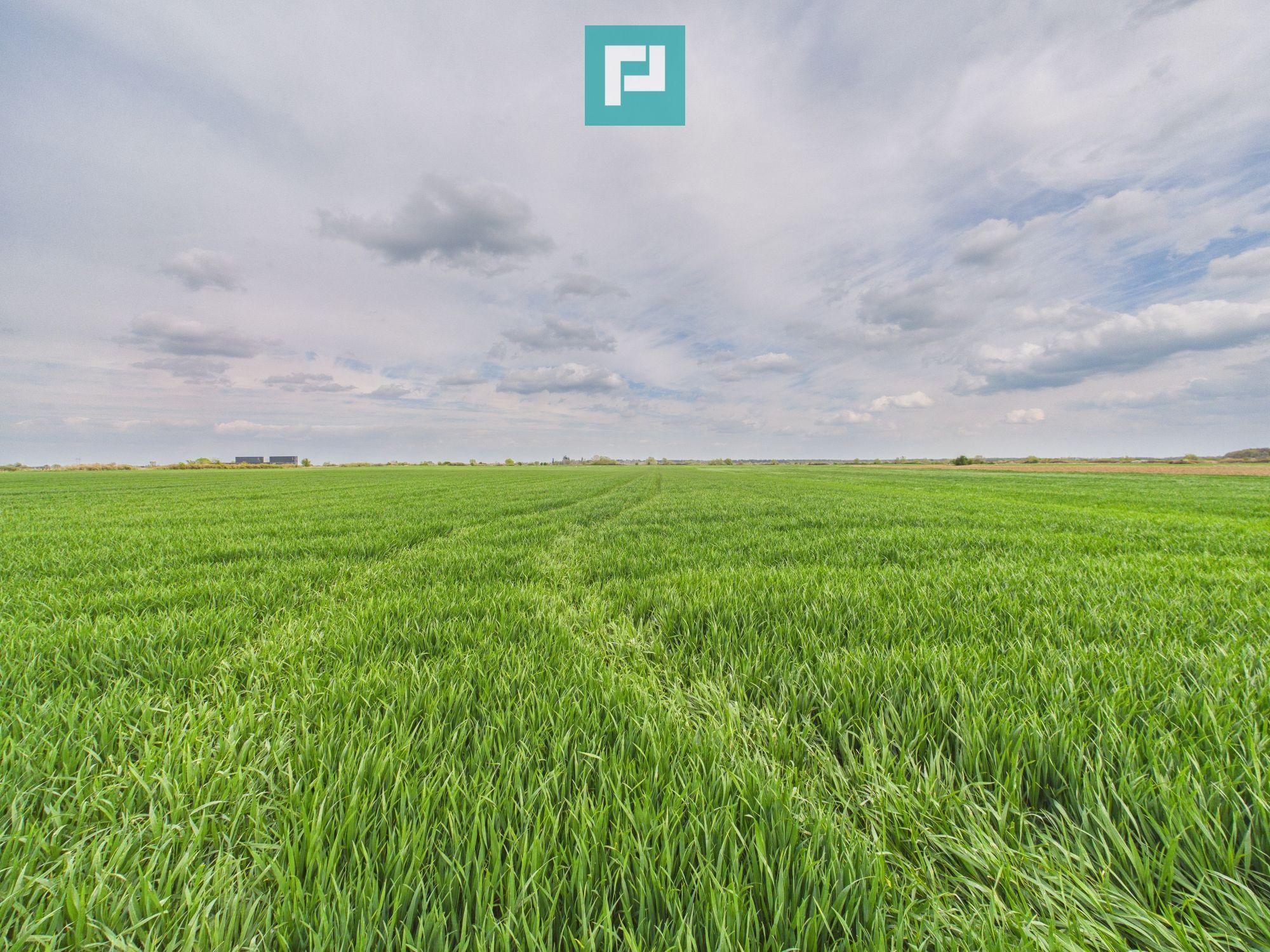 Teren extravilan 19.900 mp – Giroc centură - 2