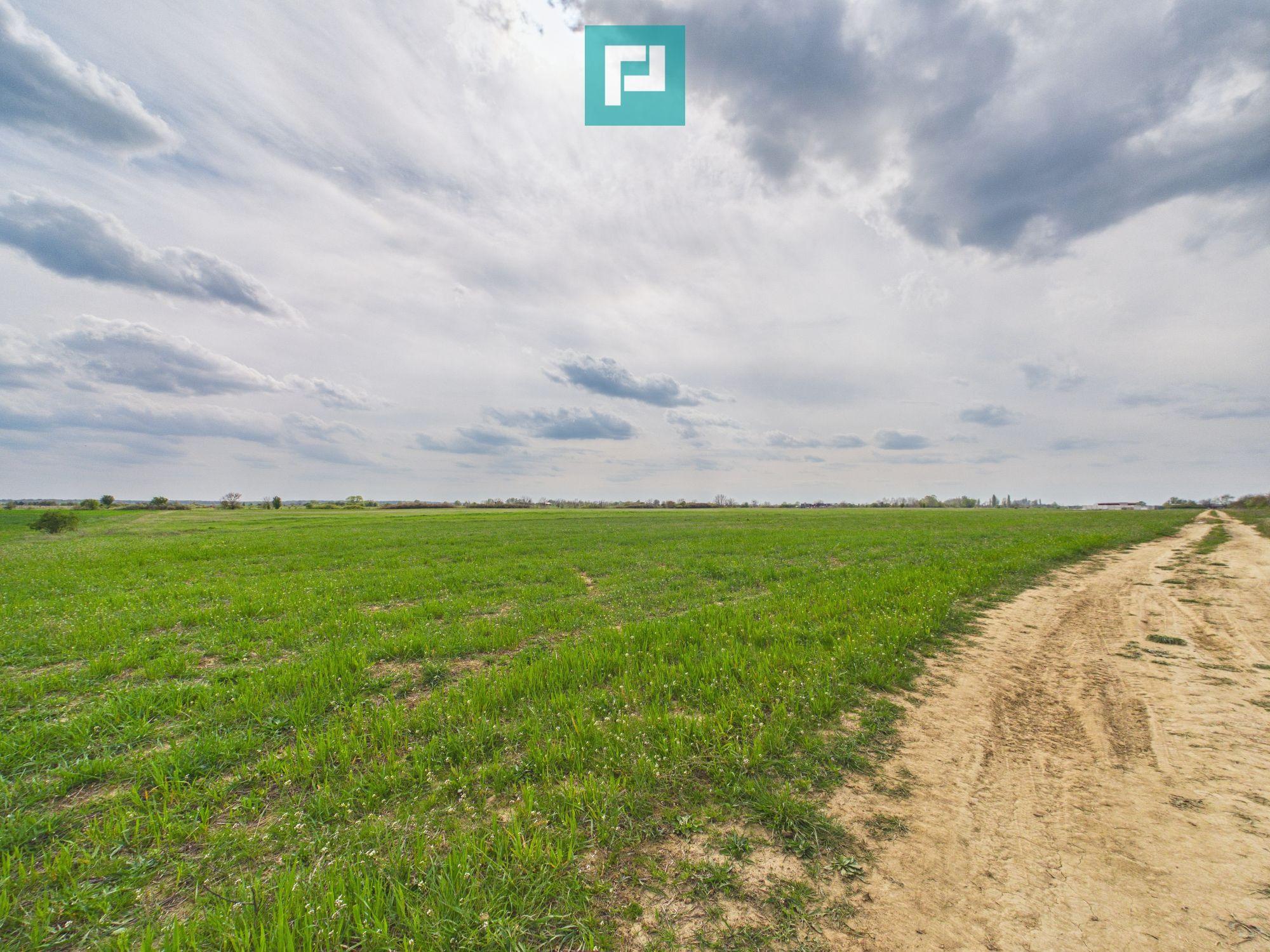 Teren extravilan 6150 mp - Giroc - 3