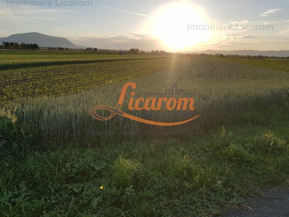 Teren Stupini Calea Feldioarei 4600 mp,21 euro/mp, front la asfalt-DN- - 2