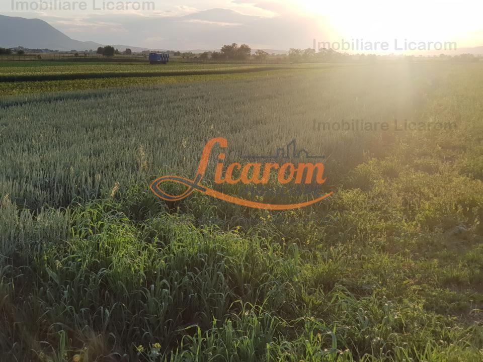 Teren Stupini Calea Feldioarei 4600 mp,21 euro/mp, front la asfalt-DN- - 3