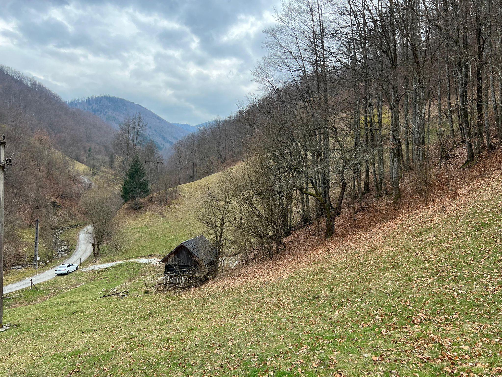 Teren intravilan 1.28ha Remeti–perfect pensiune/cabane, zonă turistica - 6