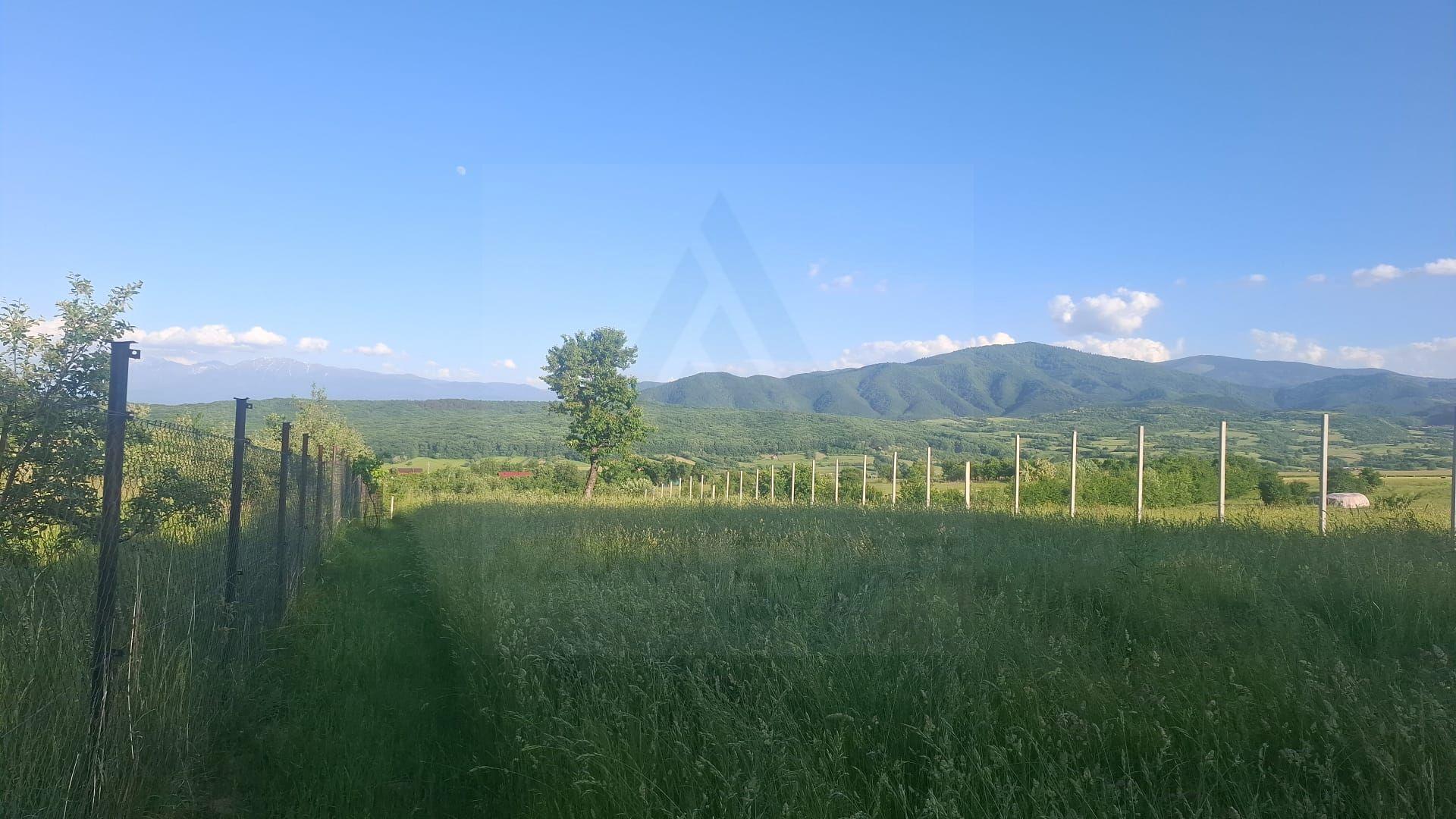Teren intravilan 809 mp cu deschidere 14 m în Tropinii Noi - 16