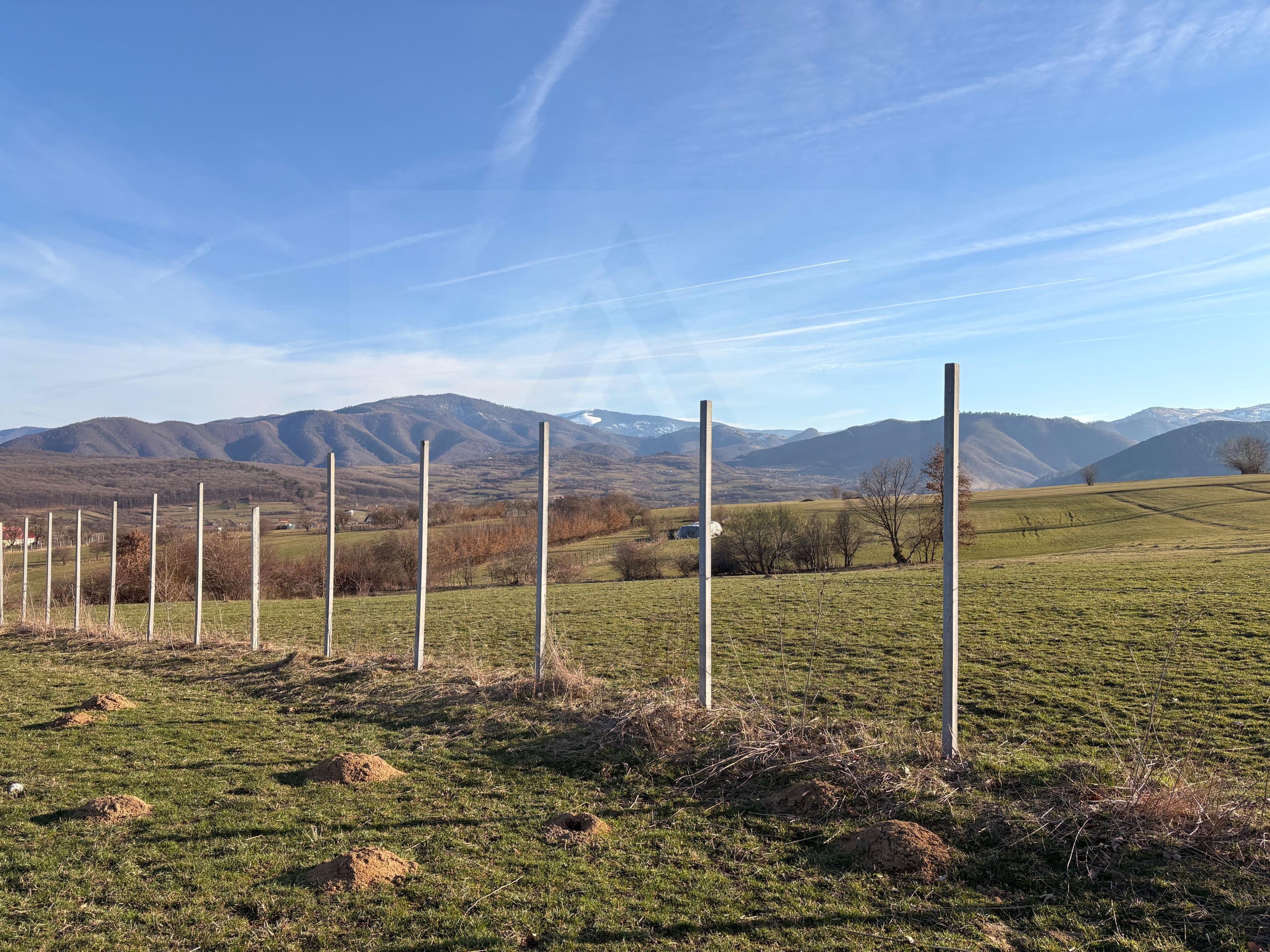 Teren intravilan 809 mp cu deschidere 14 m în Tropinii Noi - 12