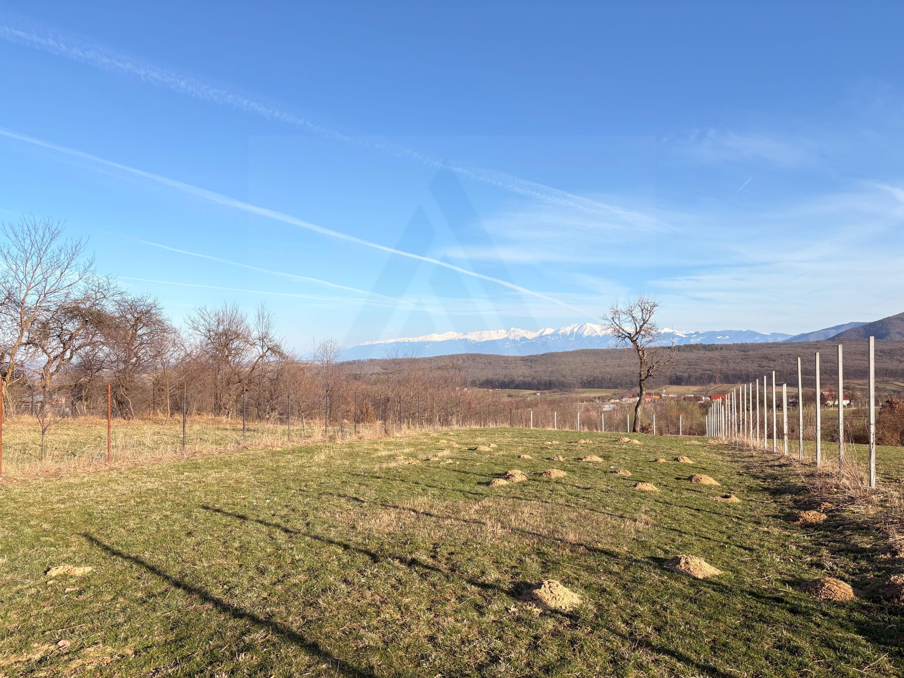 Teren intravilan 809 mp Tropinii Noi lângă pădurea Dumbrava - 8