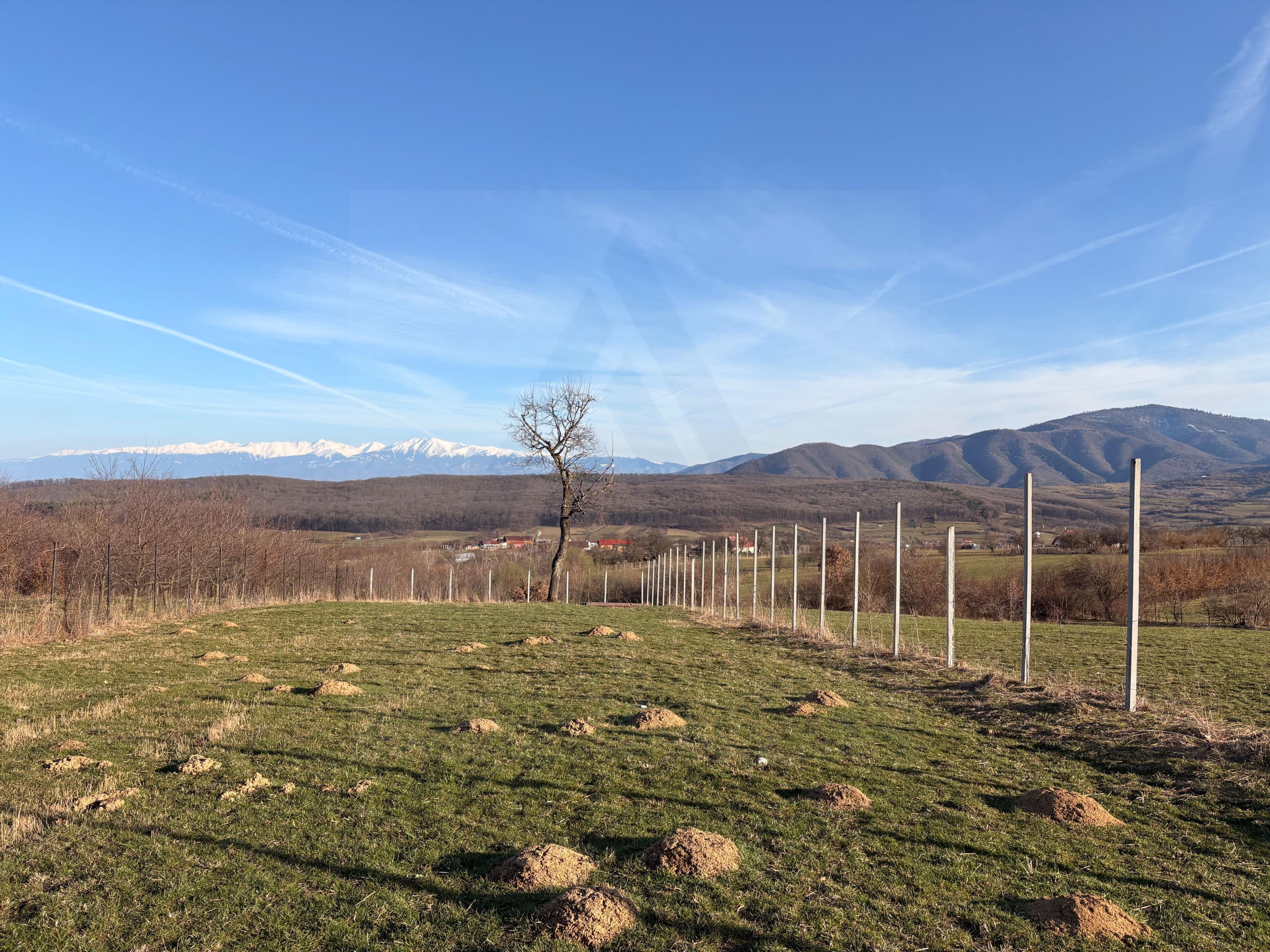 Teren intravilan 809 mp cu deschidere 14 m în Tropinii Noi - 11