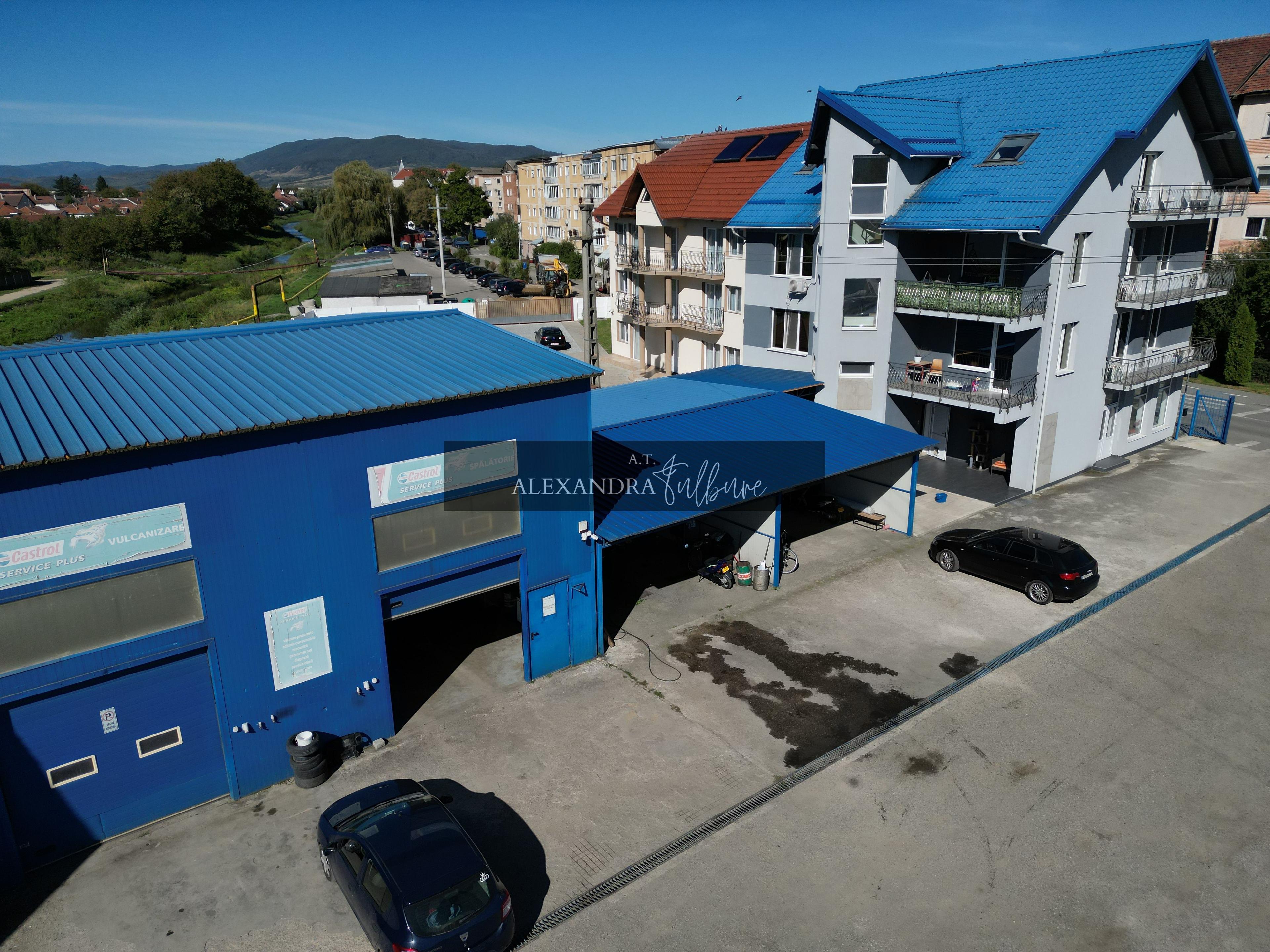 Oportunitate strategică de dezvoltare în Hațeg 3.079 mp - 9