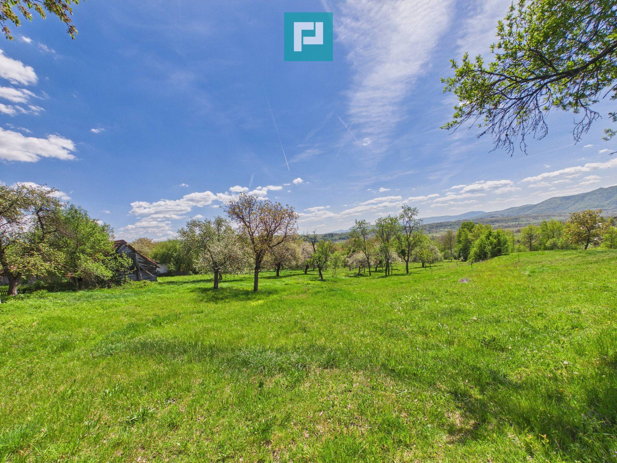 Proprietate rară cu 24.270 mp, în Măgulicea, Arad! - 23