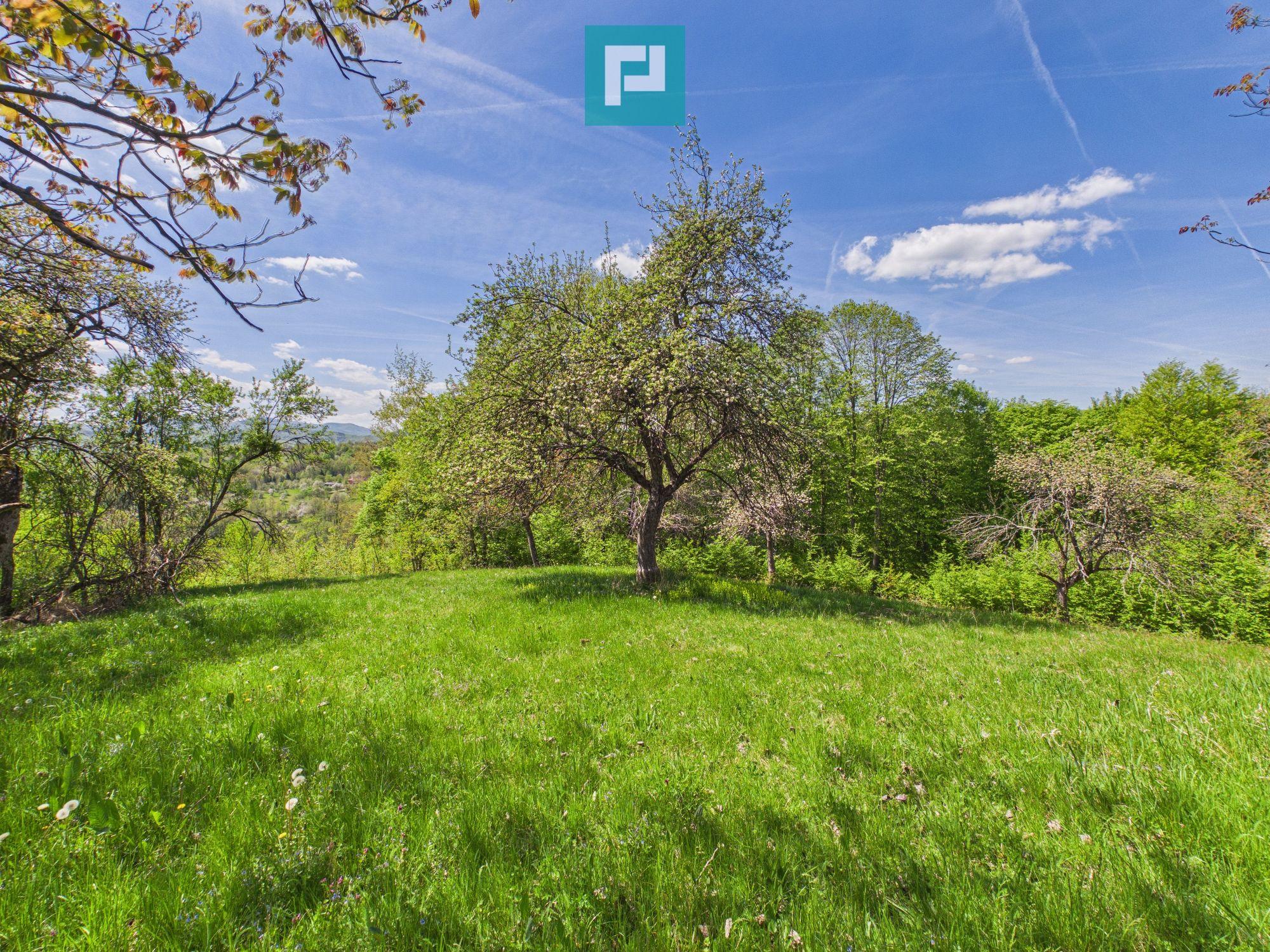 Proprietate rară cu 24.270 mp, în Măgulicea, Arad! - 26
