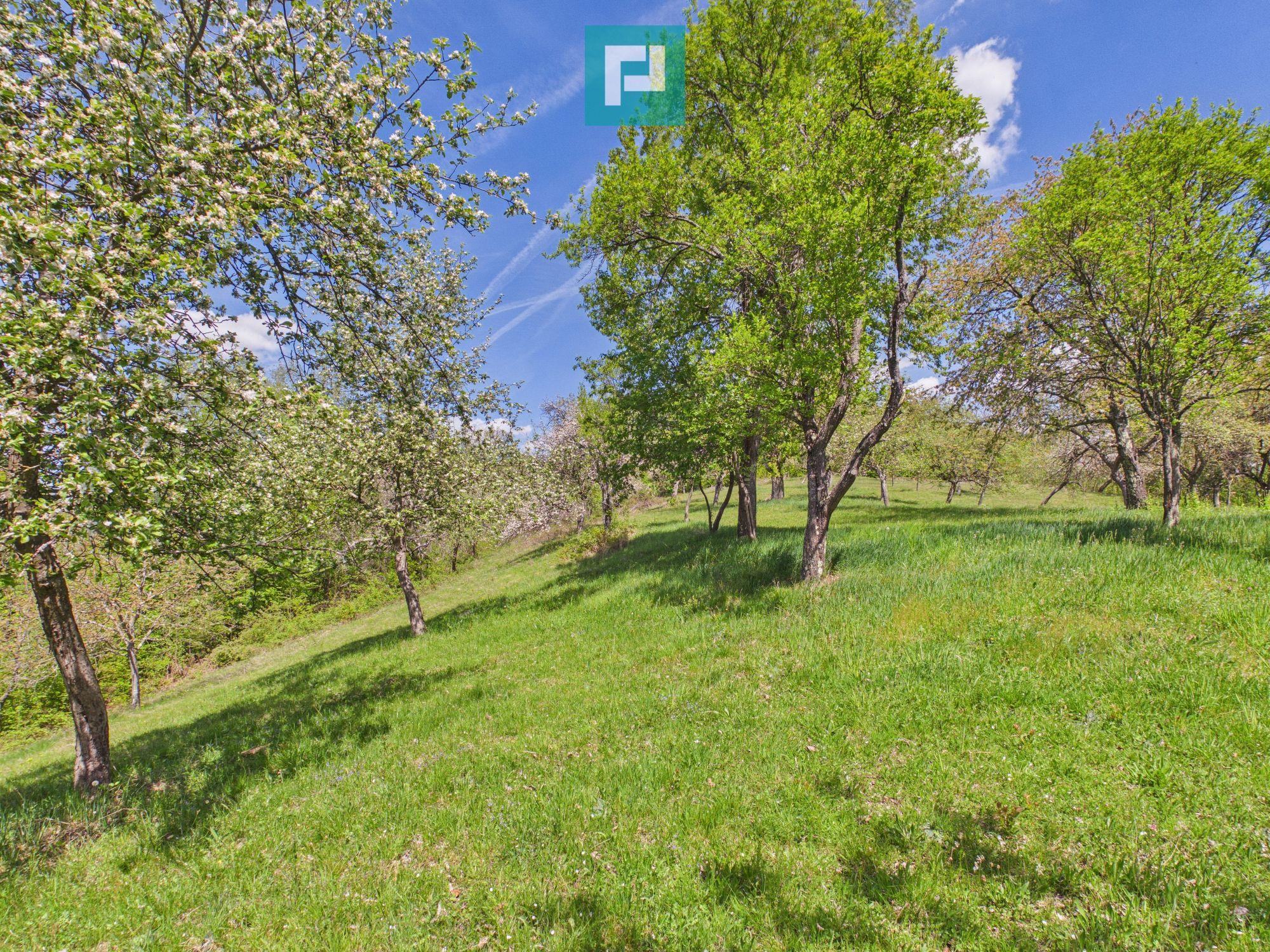 Proprietate rară cu 24.270 mp, în Măgulicea, Arad! - 27