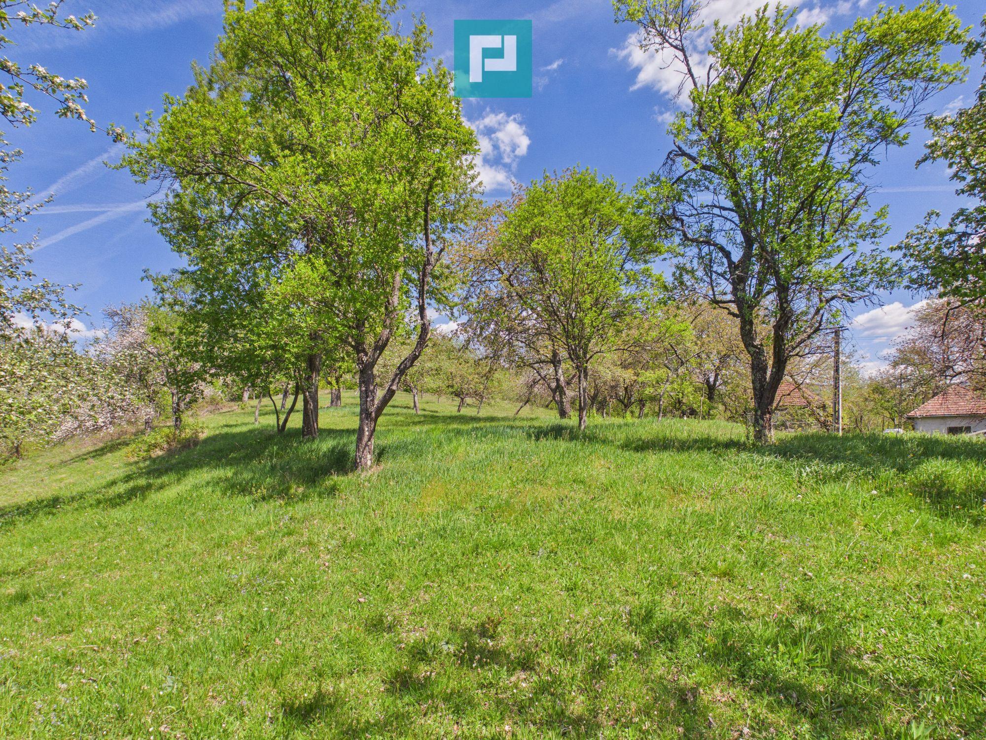 Proprietate rară cu 24.270 mp, în Măgulicea, Arad! - 29