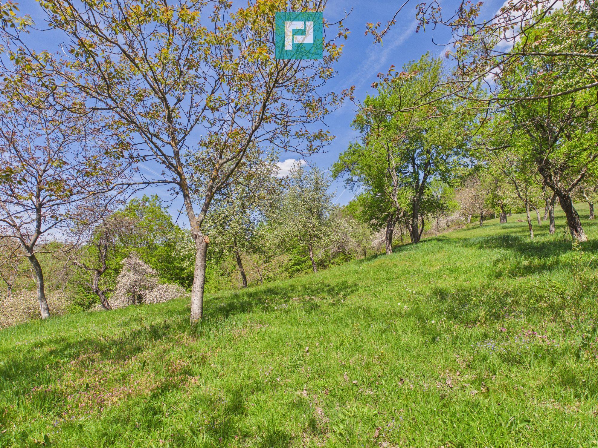 Proprietate rară cu 24.270 mp, în Măgulicea, Arad! - 28