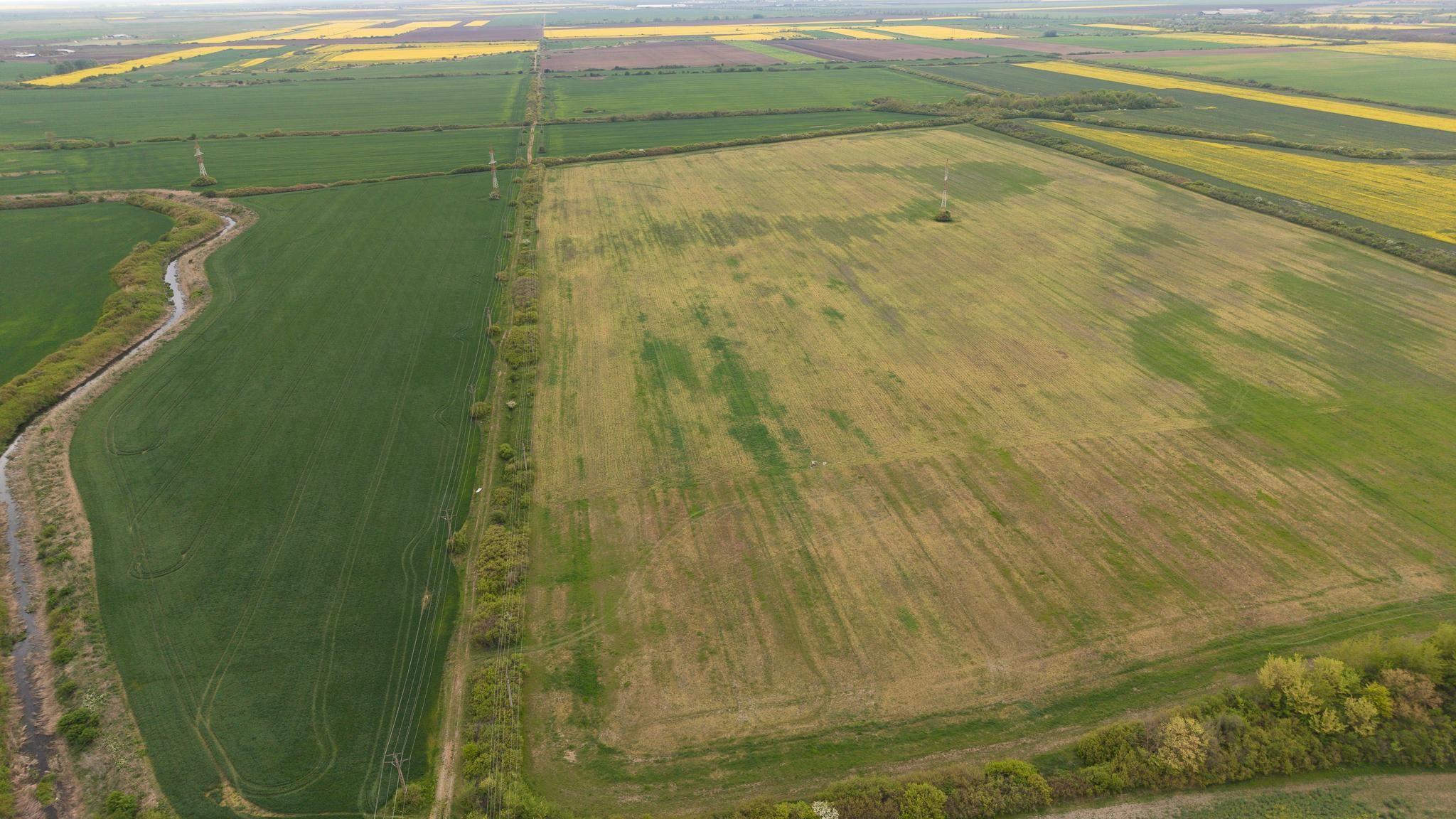 Teren investițional strategic 44.700 mp Arad Vest - 4