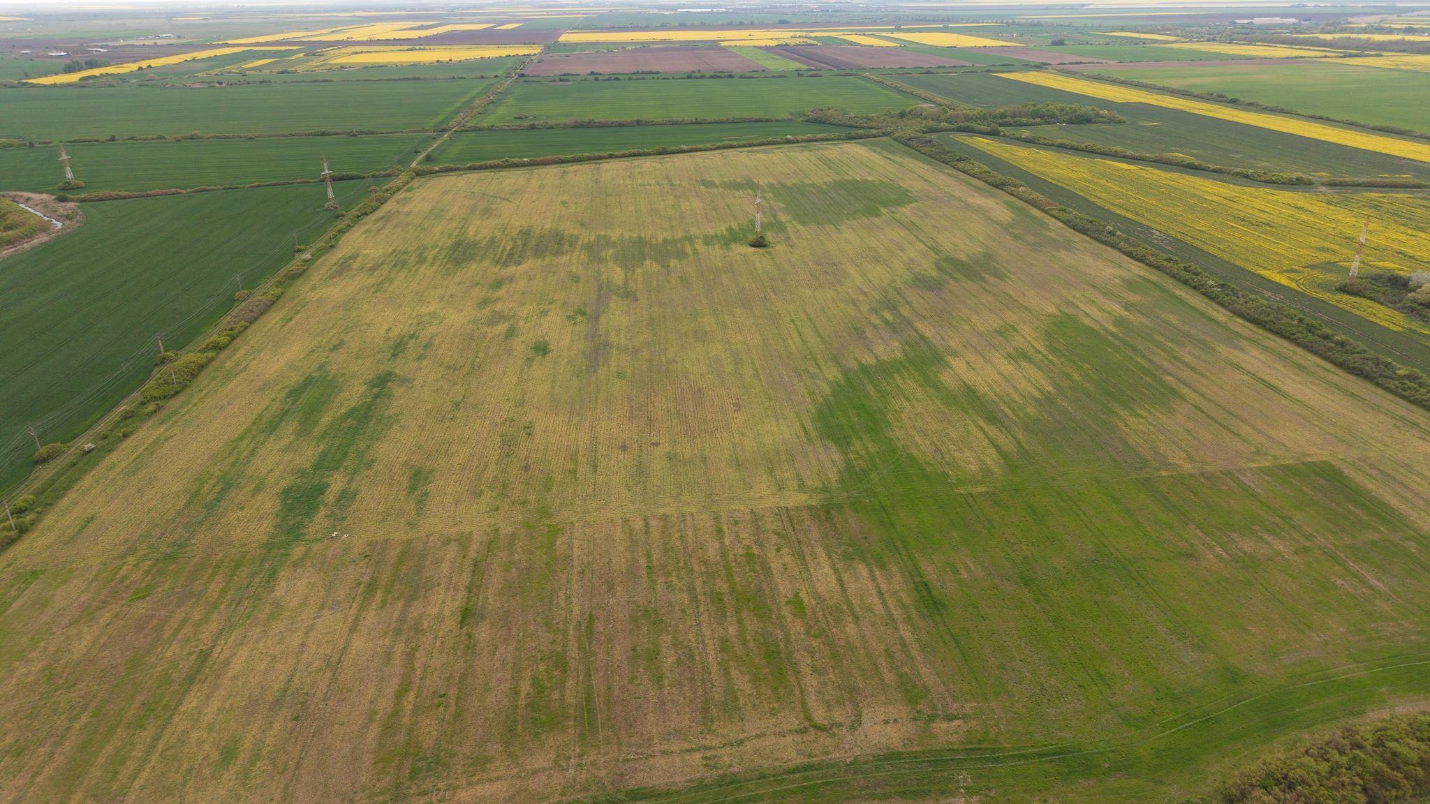 Teren investițional strategic 44.700 mp Arad Vest - 9