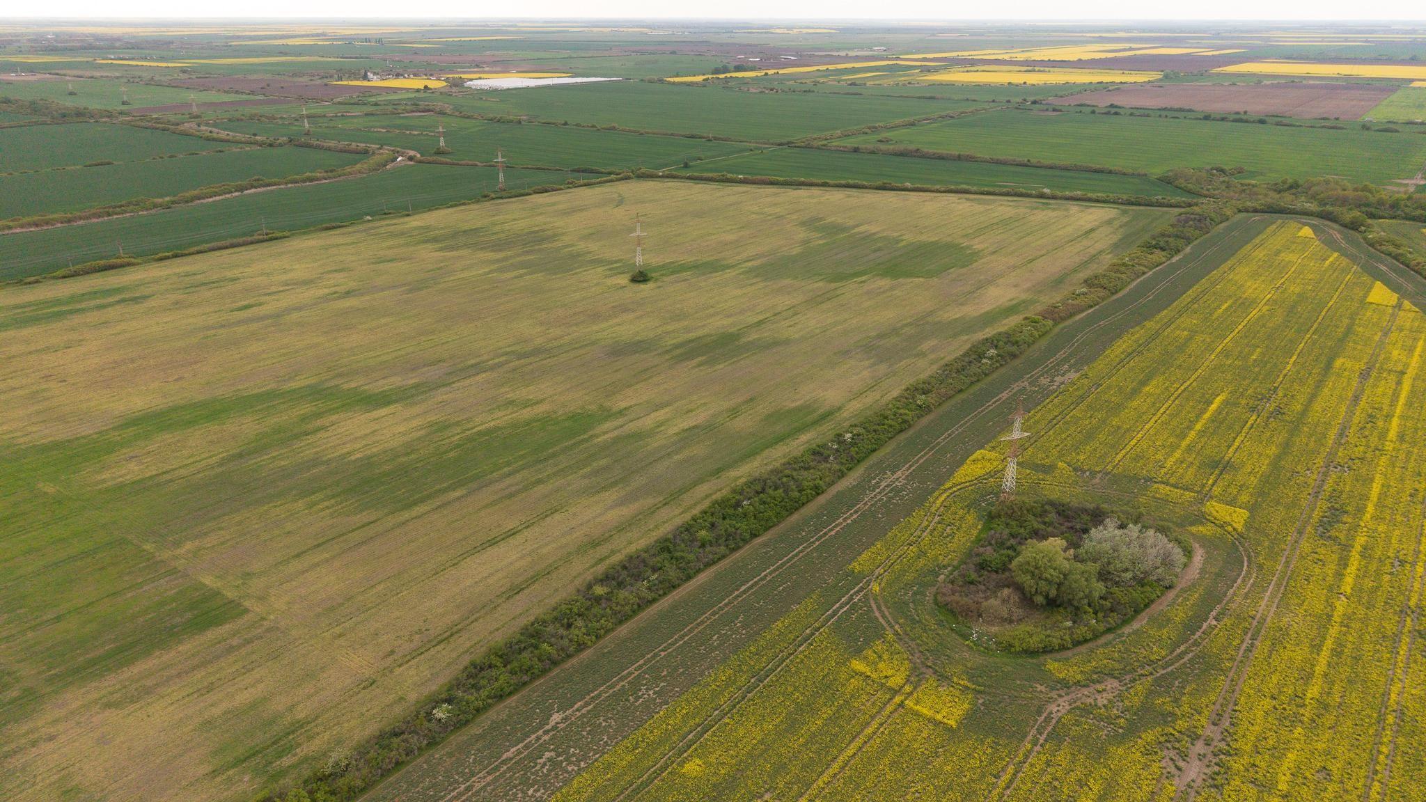 Teren investițional strategic 44.700 mp Arad Vest - 17