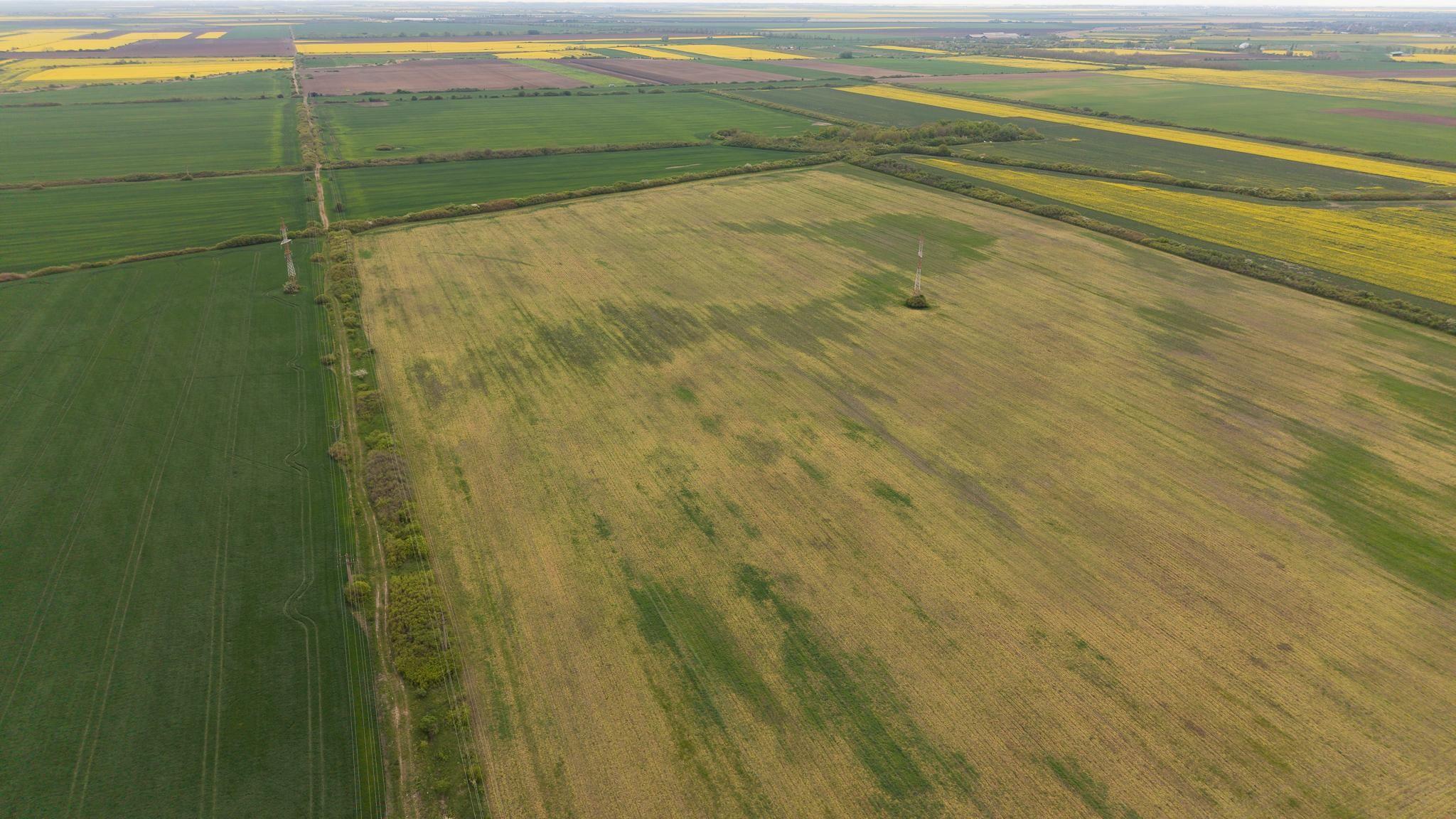 Teren investițional strategic 44.700 mp Arad Vest - 14