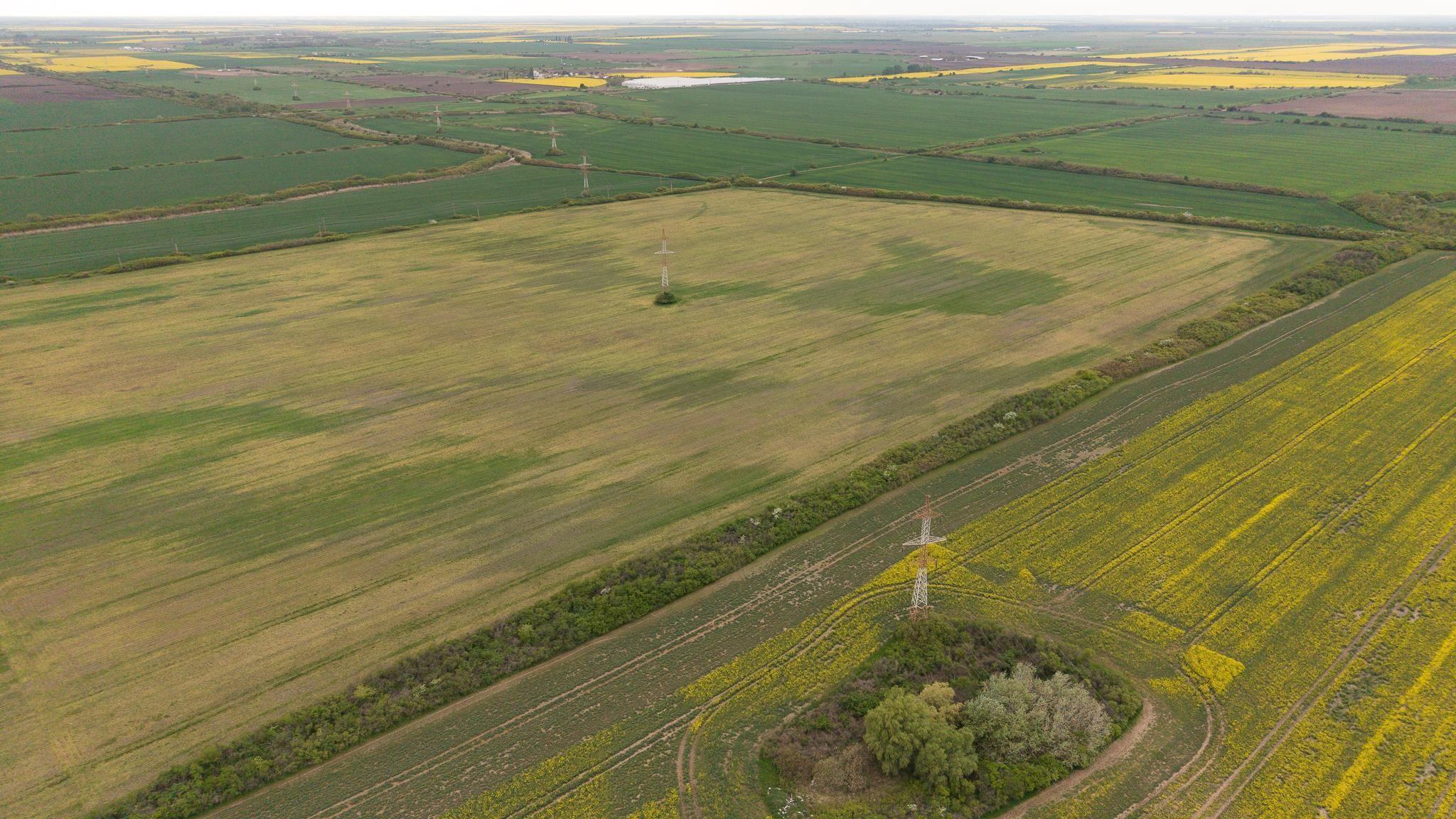 Teren investițional strategic 44.700 mp Arad Vest - 16