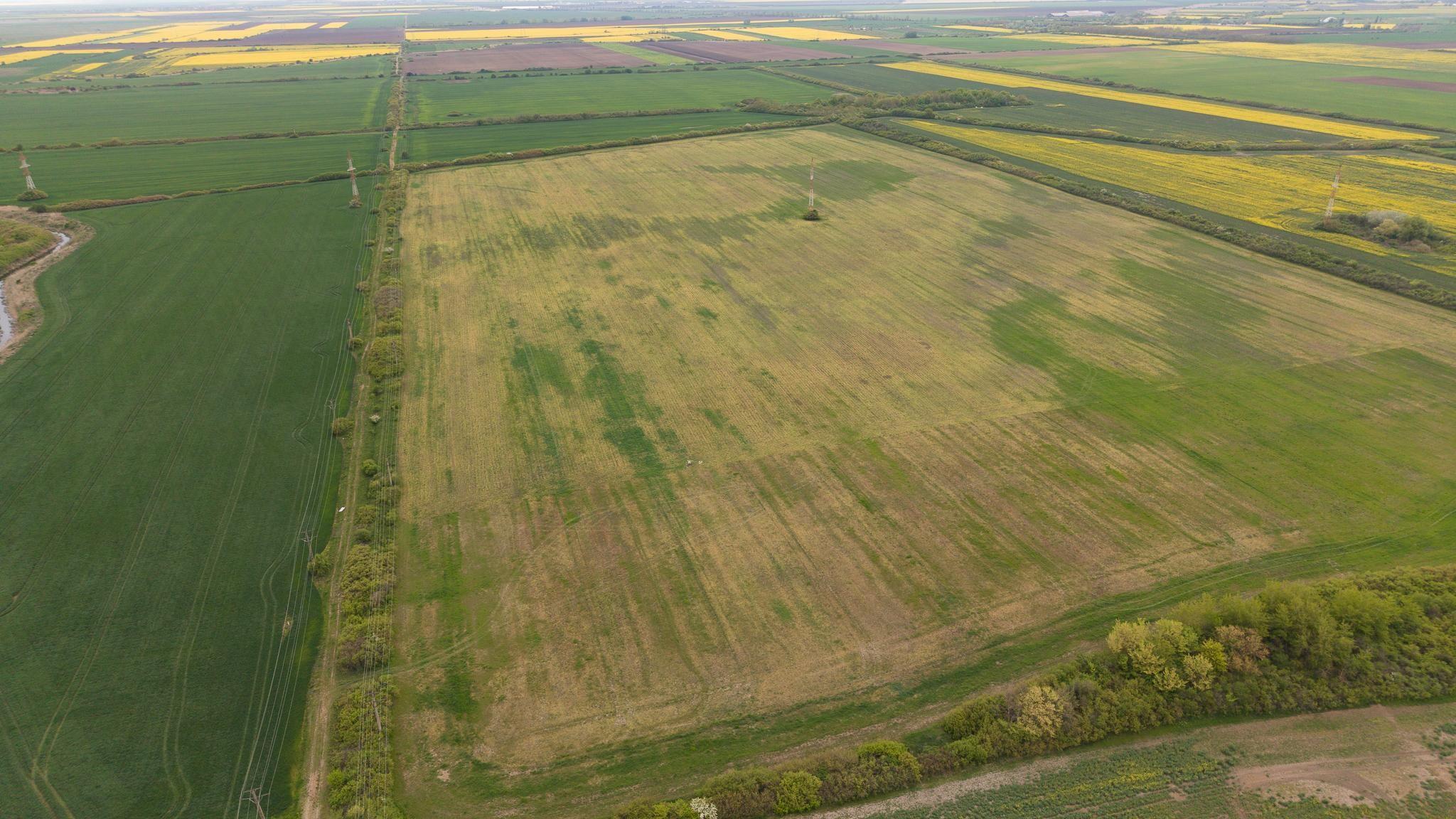Teren investițional strategic 44.700 mp Arad Vest - 2