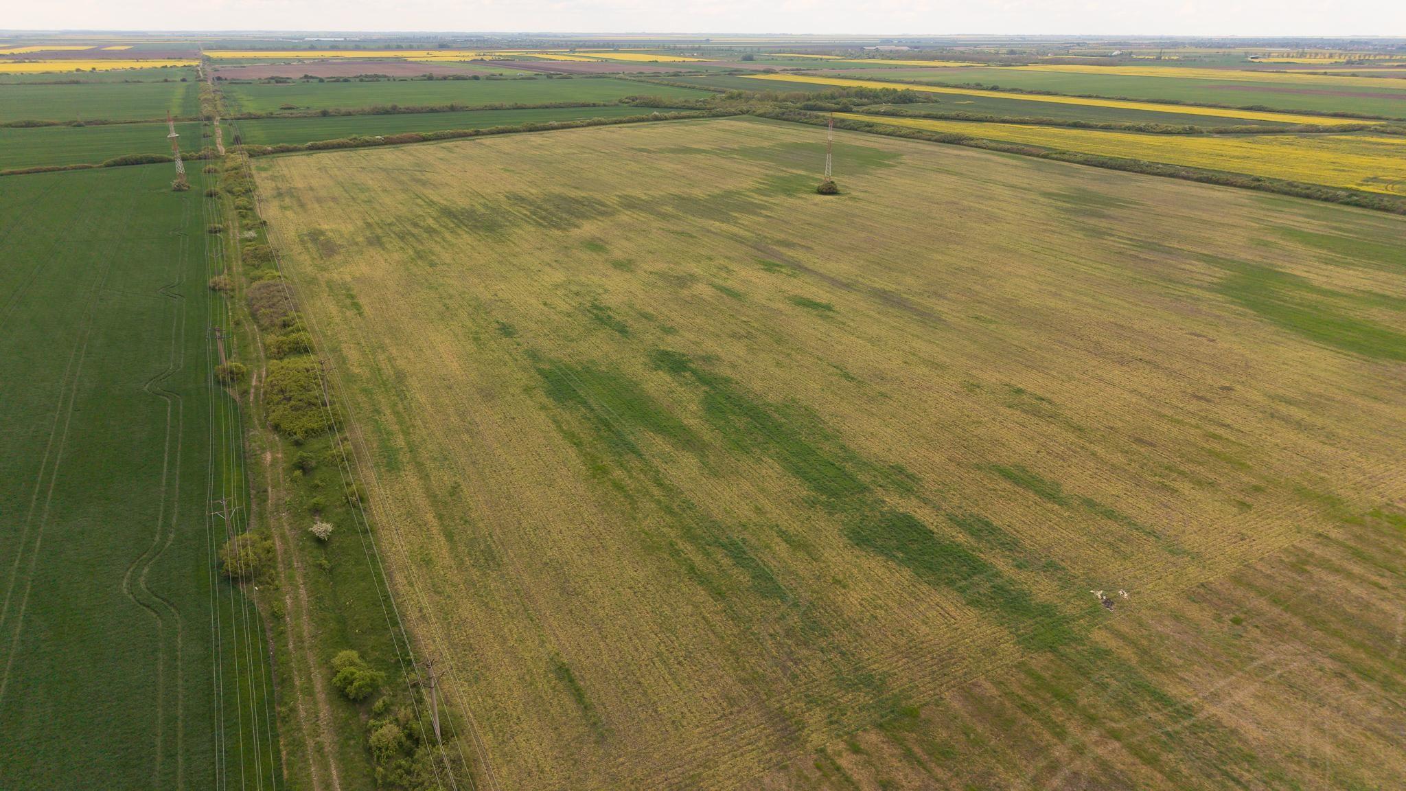 Teren investițional strategic 44.700 mp Arad Vest - 13
