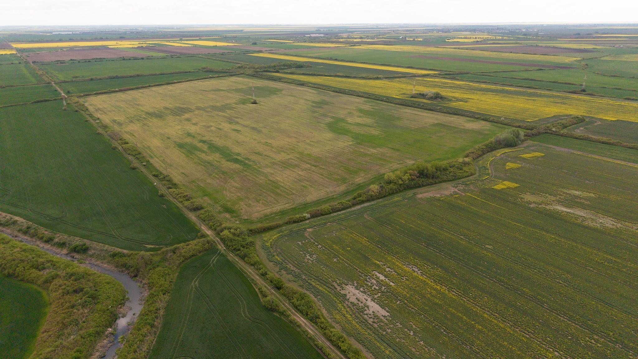 Teren investițional strategic 44.700 mp Arad Vest - 15
