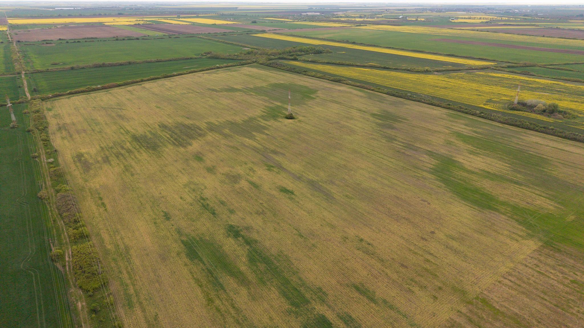 Teren investițional strategic 44.700 mp Arad Vest - 18