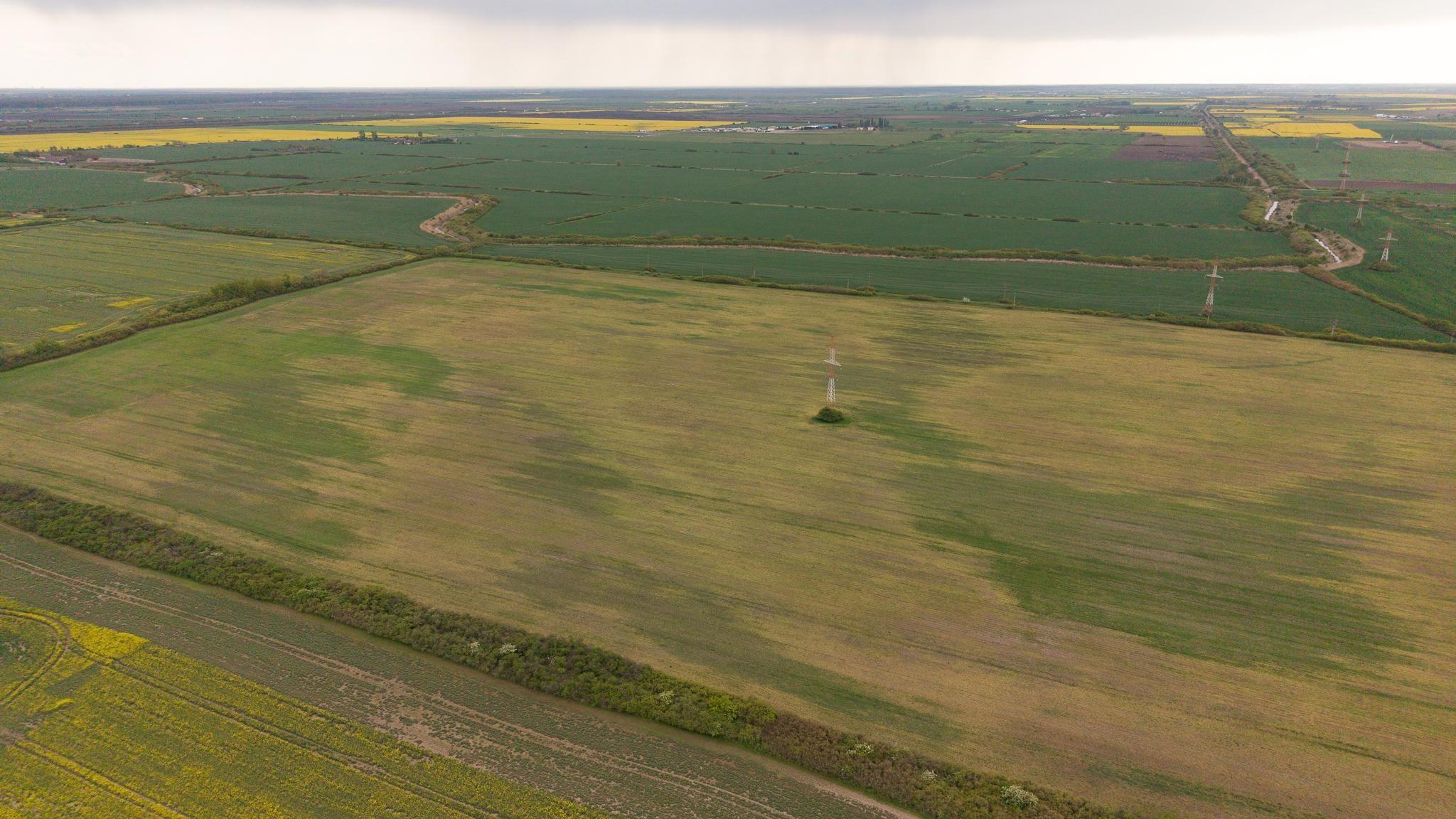 Teren investițional strategic 44.700 mp Arad Vest - 5